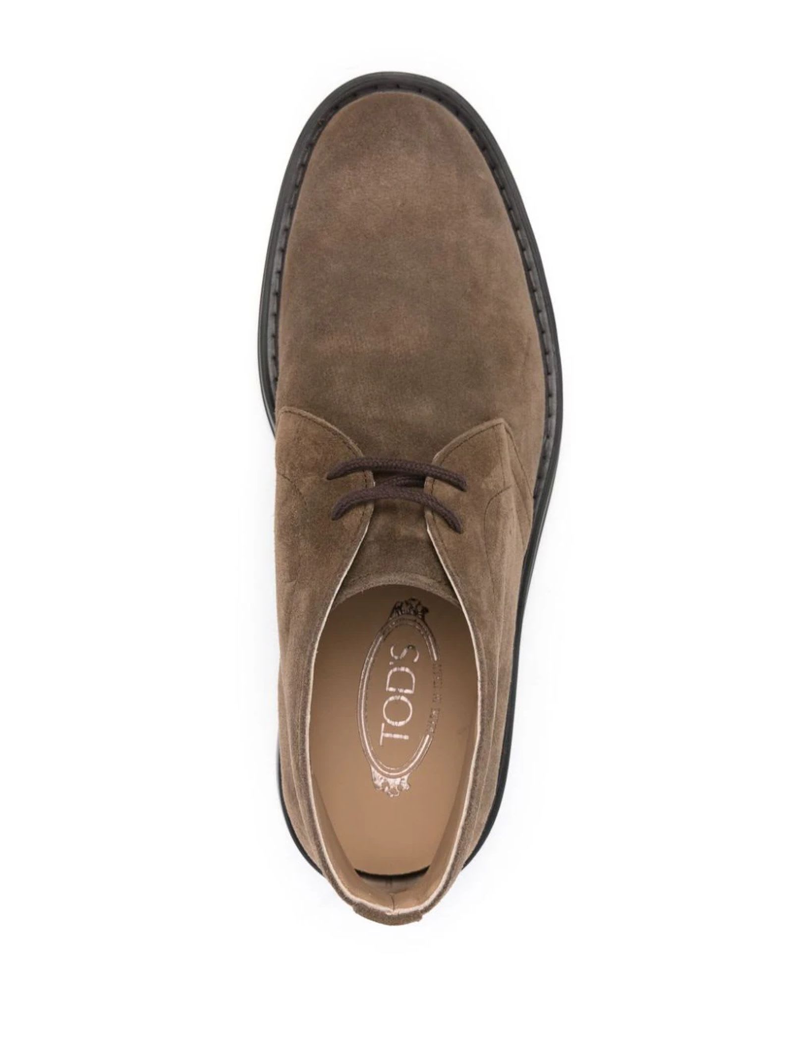 Shop Tod's Desert Boots In Brown Suede