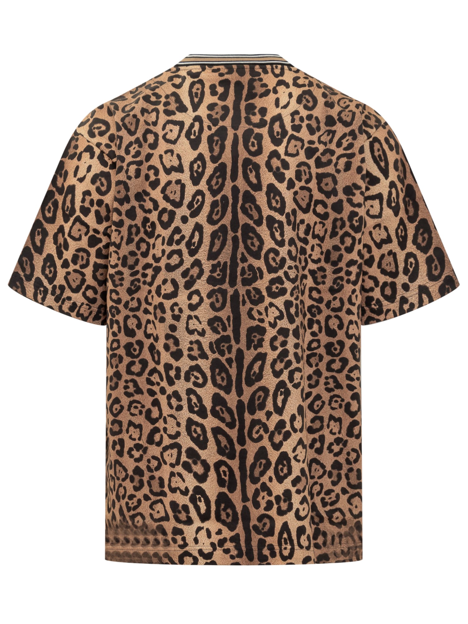 Shop Dolce & Gabbana Leo T-shirt In Leo Ingrand Marrone