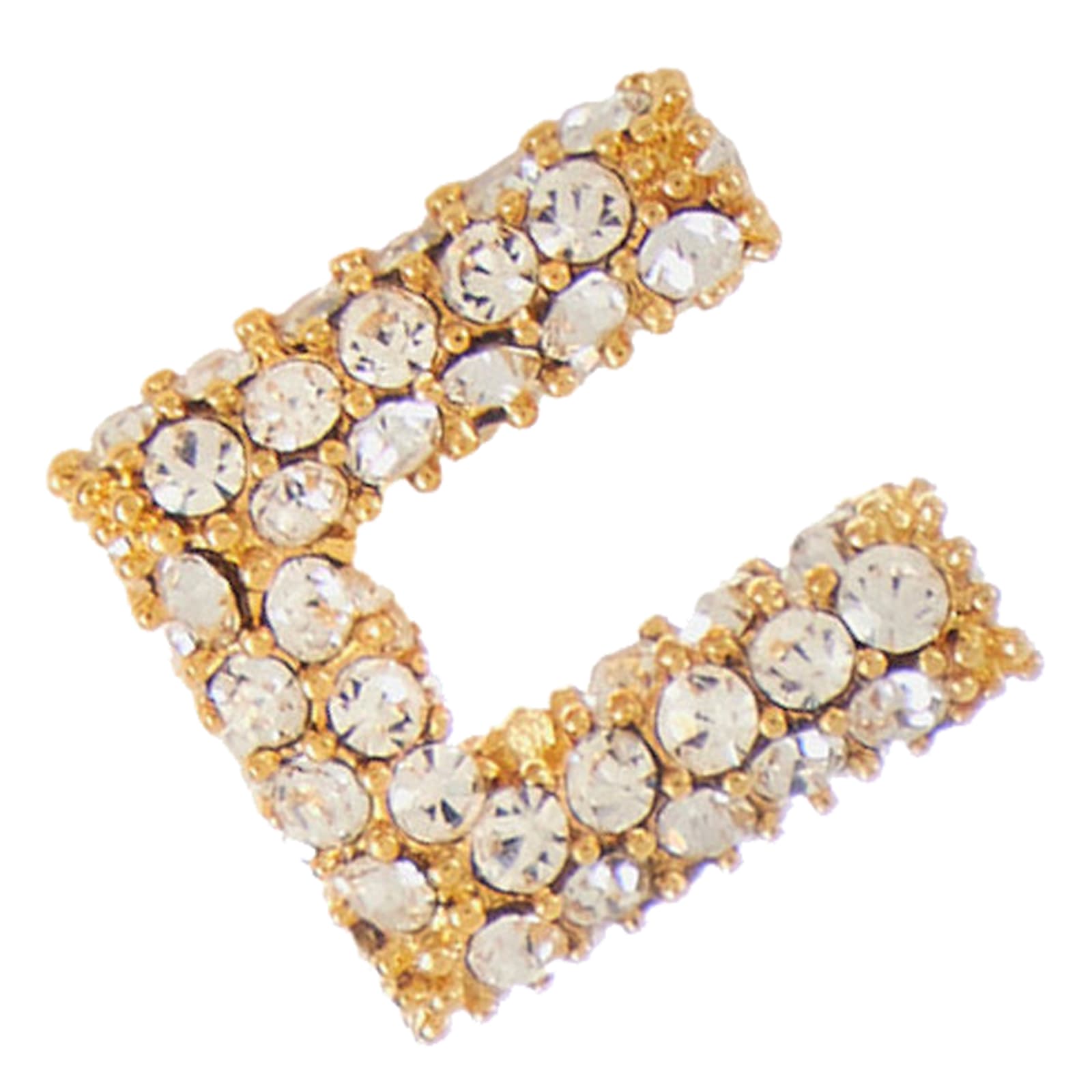 Elisabetta Franchi Logo Earrings In Multi