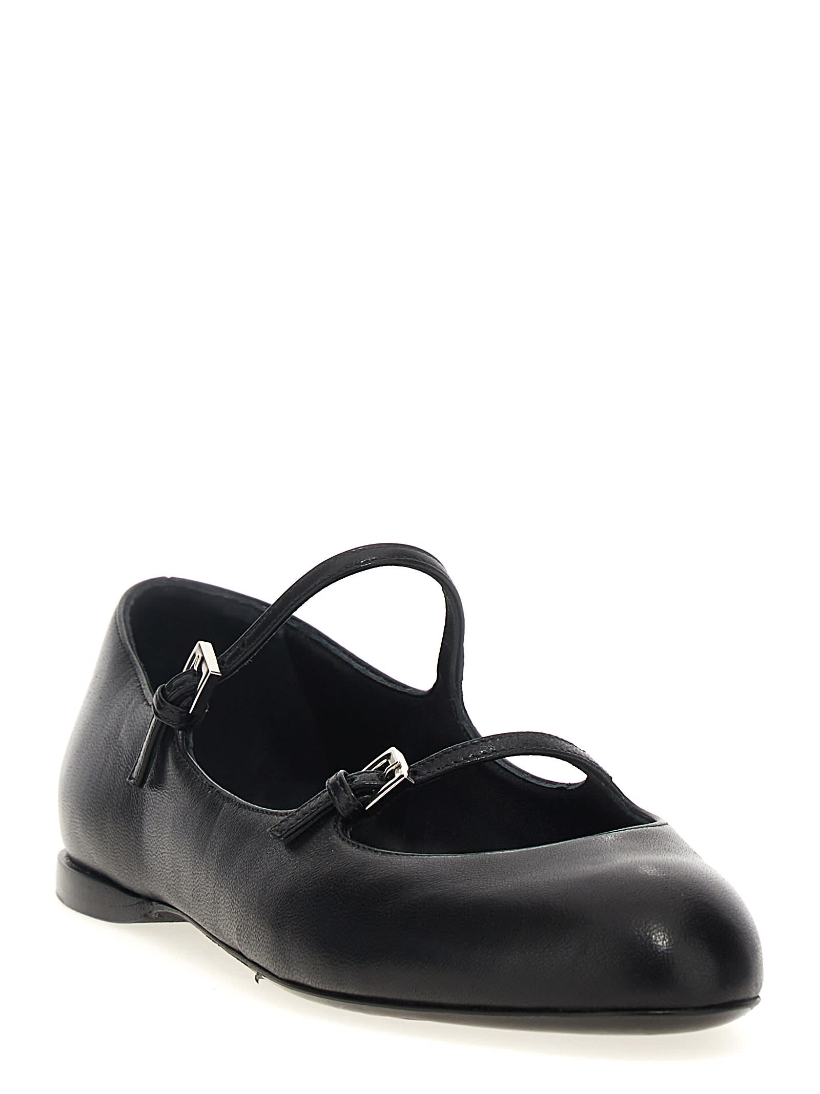 Shop Max Mara Circus Ballet Flats In Black