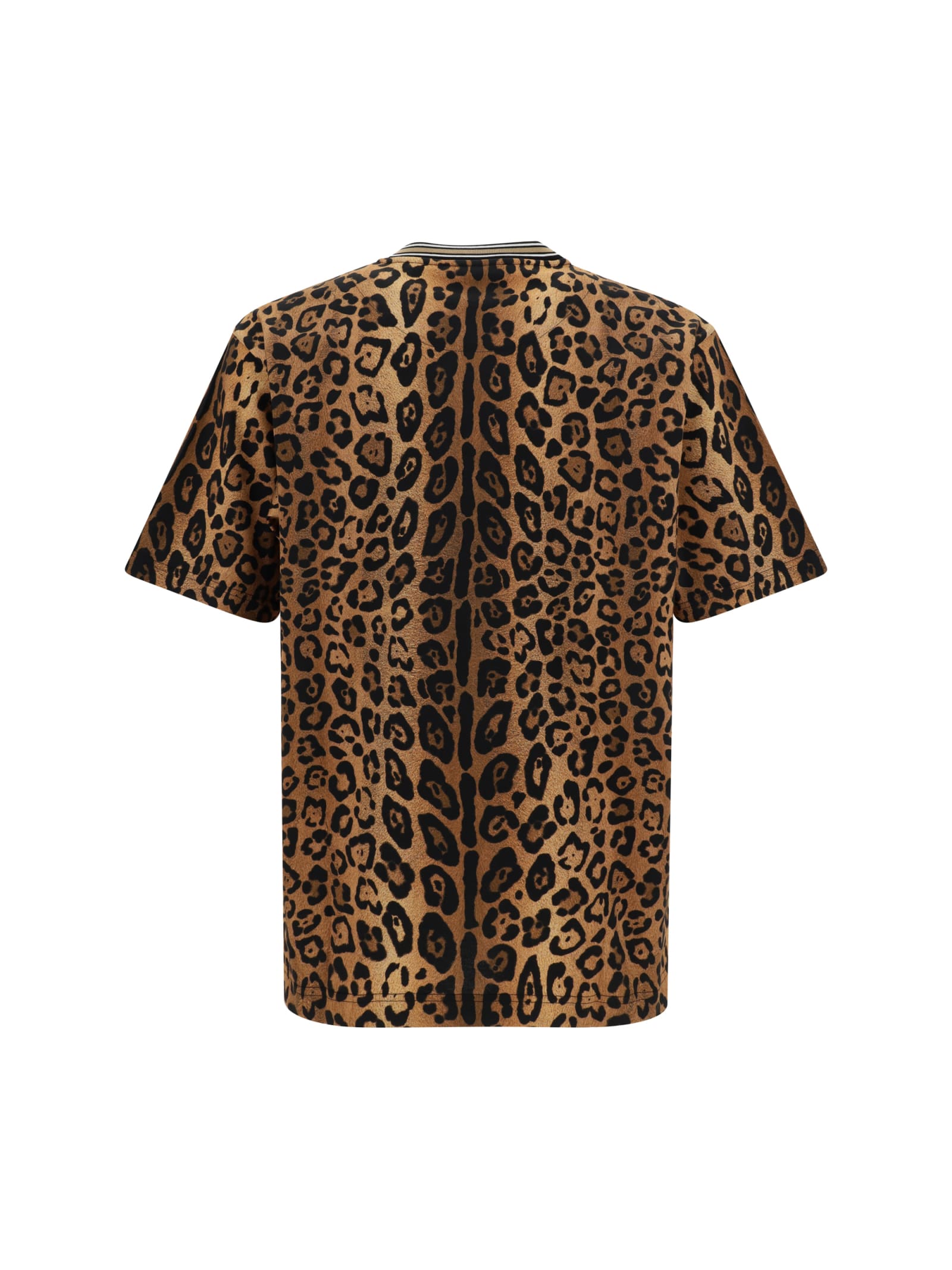 Shop Dolce & Gabbana T-shirt In Leo Ingrand Marrone (beige)