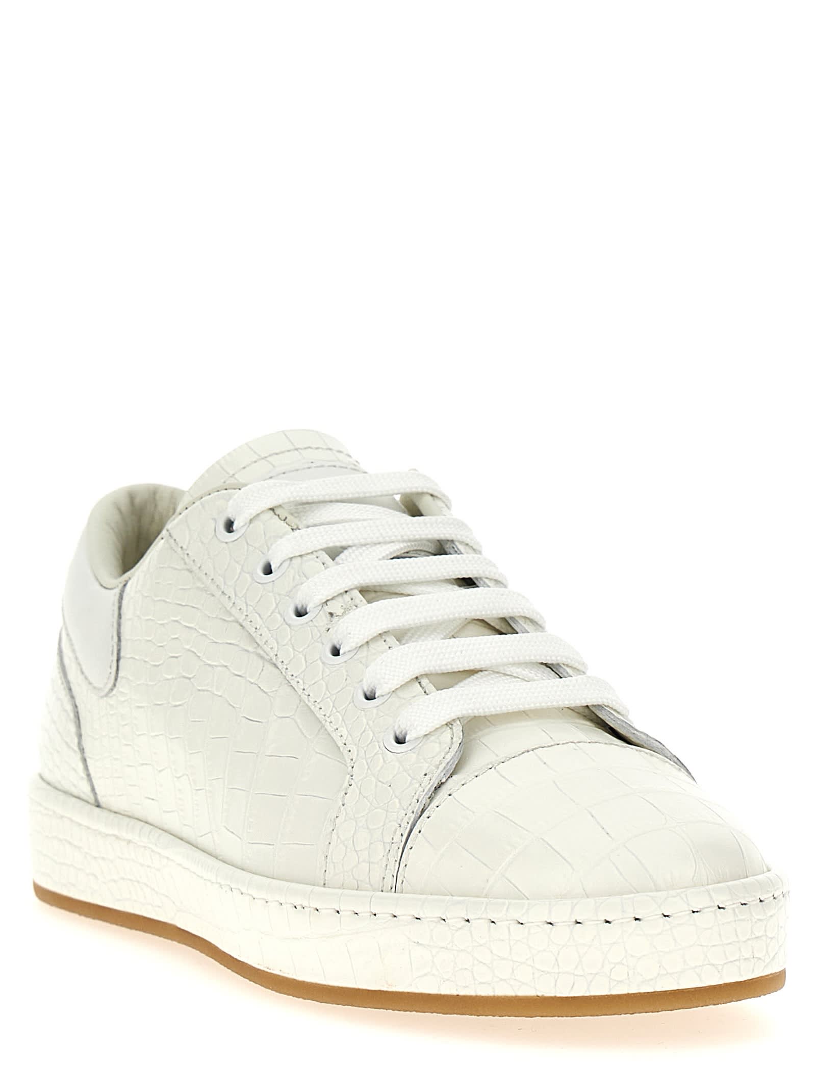 Shop Giuseppe Zanotti Gz/city Sneakers In White