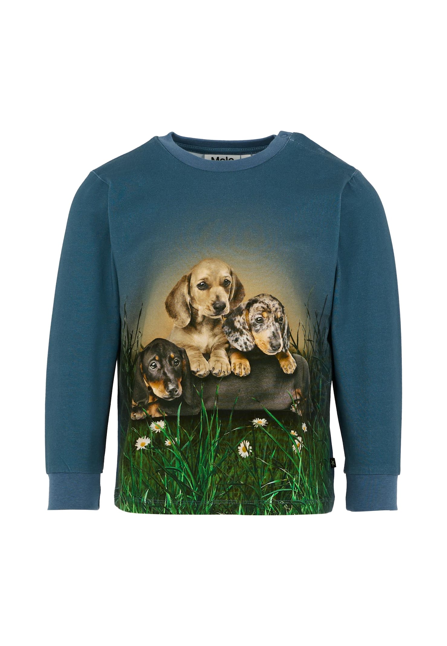 Molo Blue T-shirt For Boy With Dog In Blue