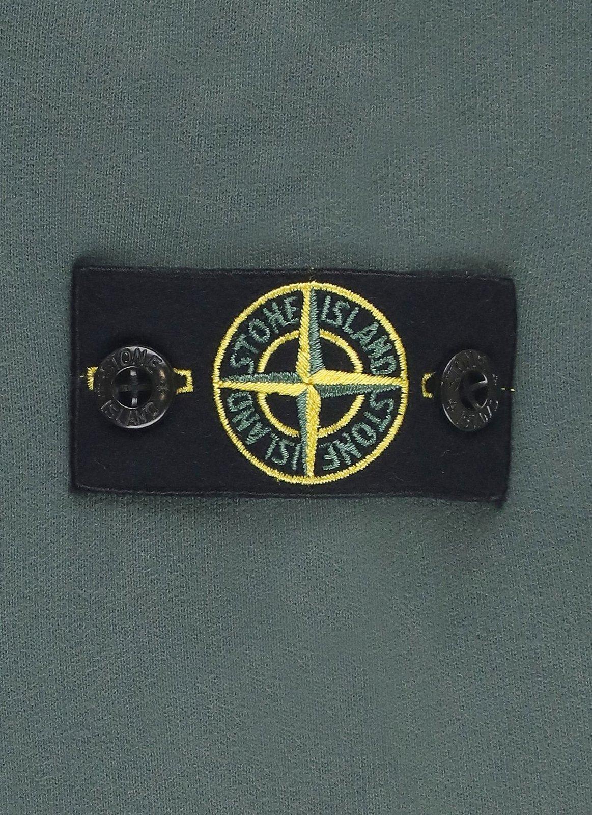 Stone Island Hoodie With Logo In V0057
