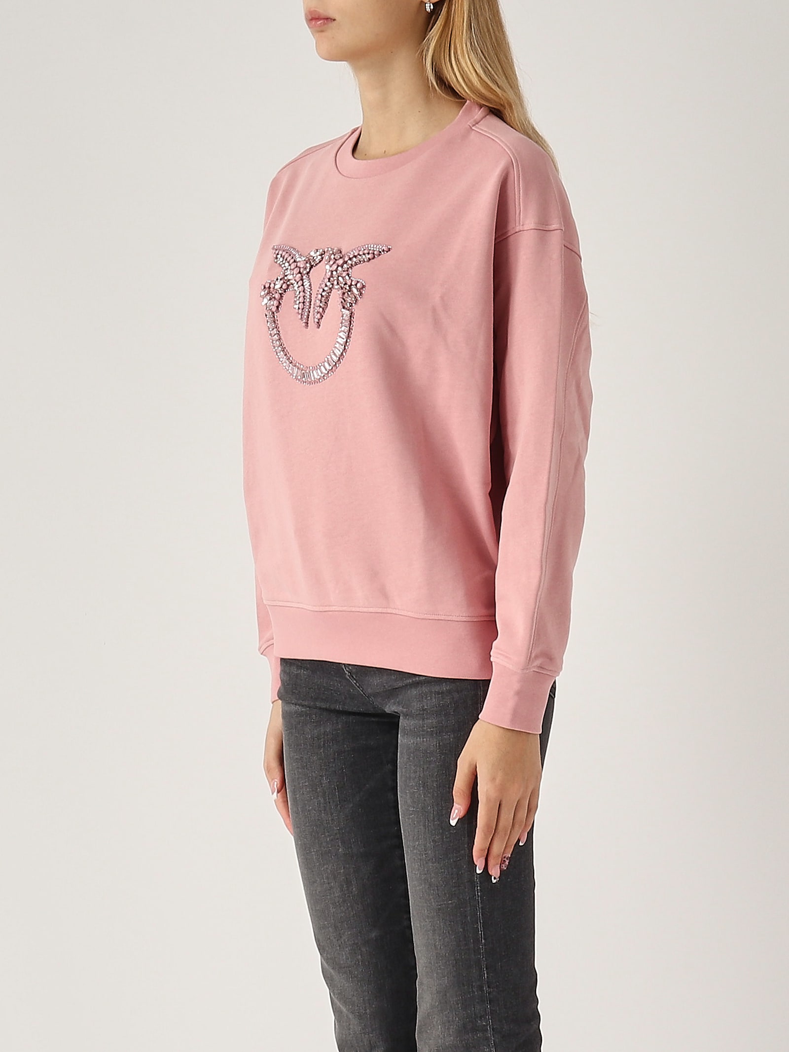 Shop Pinko Nelly Felpa Logo Birds Hoodie In Rosa Antico