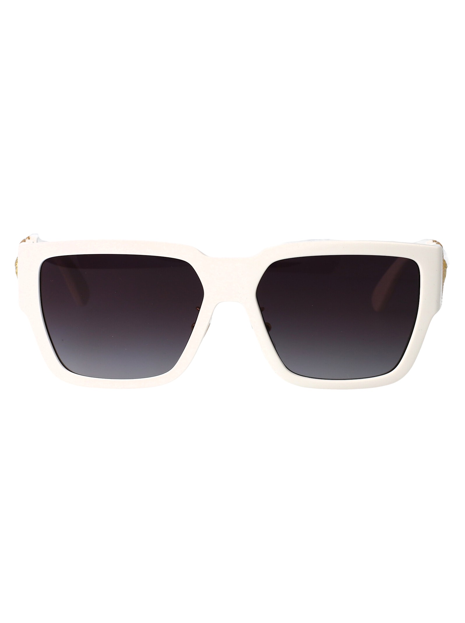 0ve4483d Sunglasses