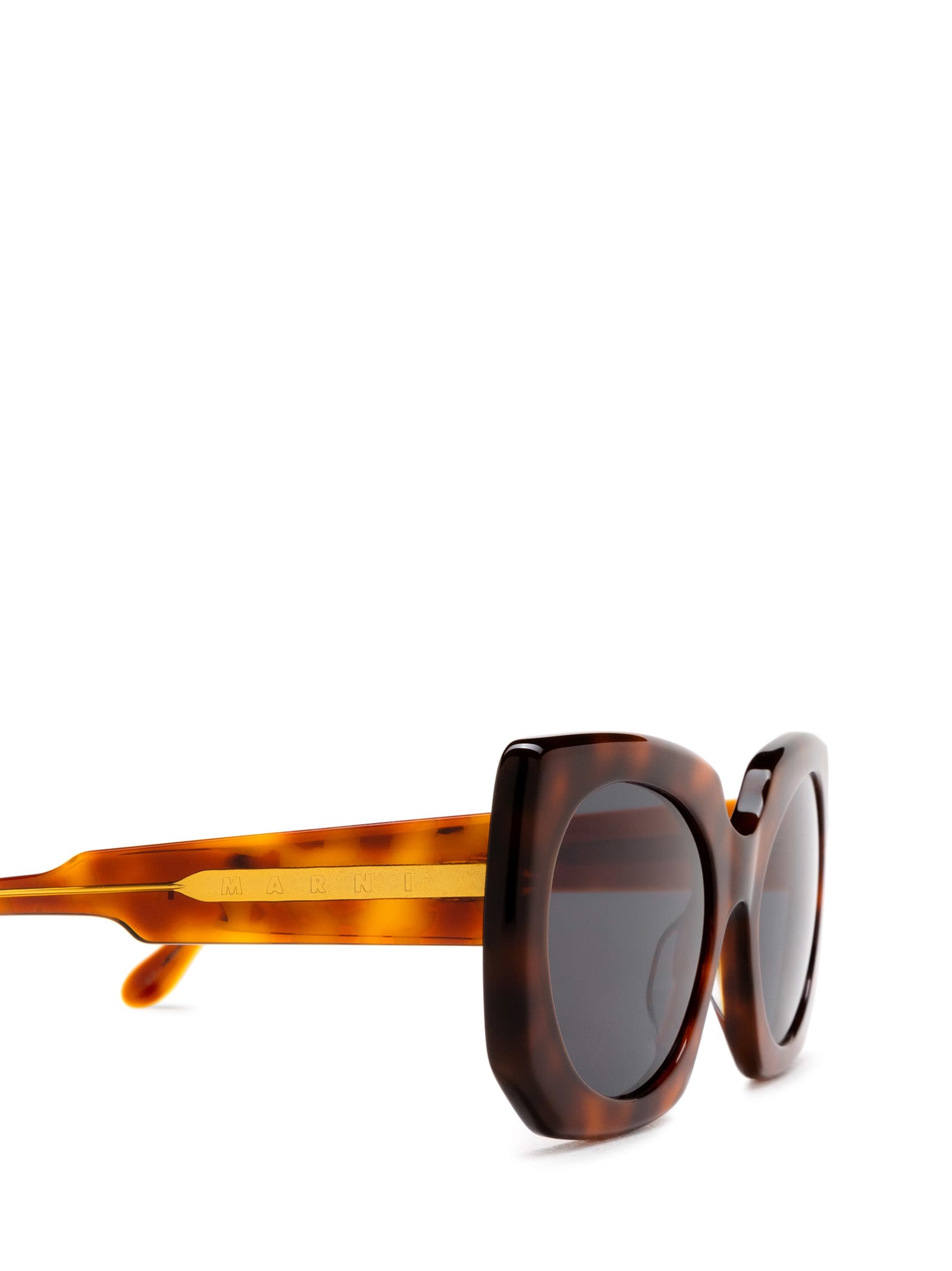 Shop Marni Eyewear Jellyfish Lake Blonde Havana Sunglasses