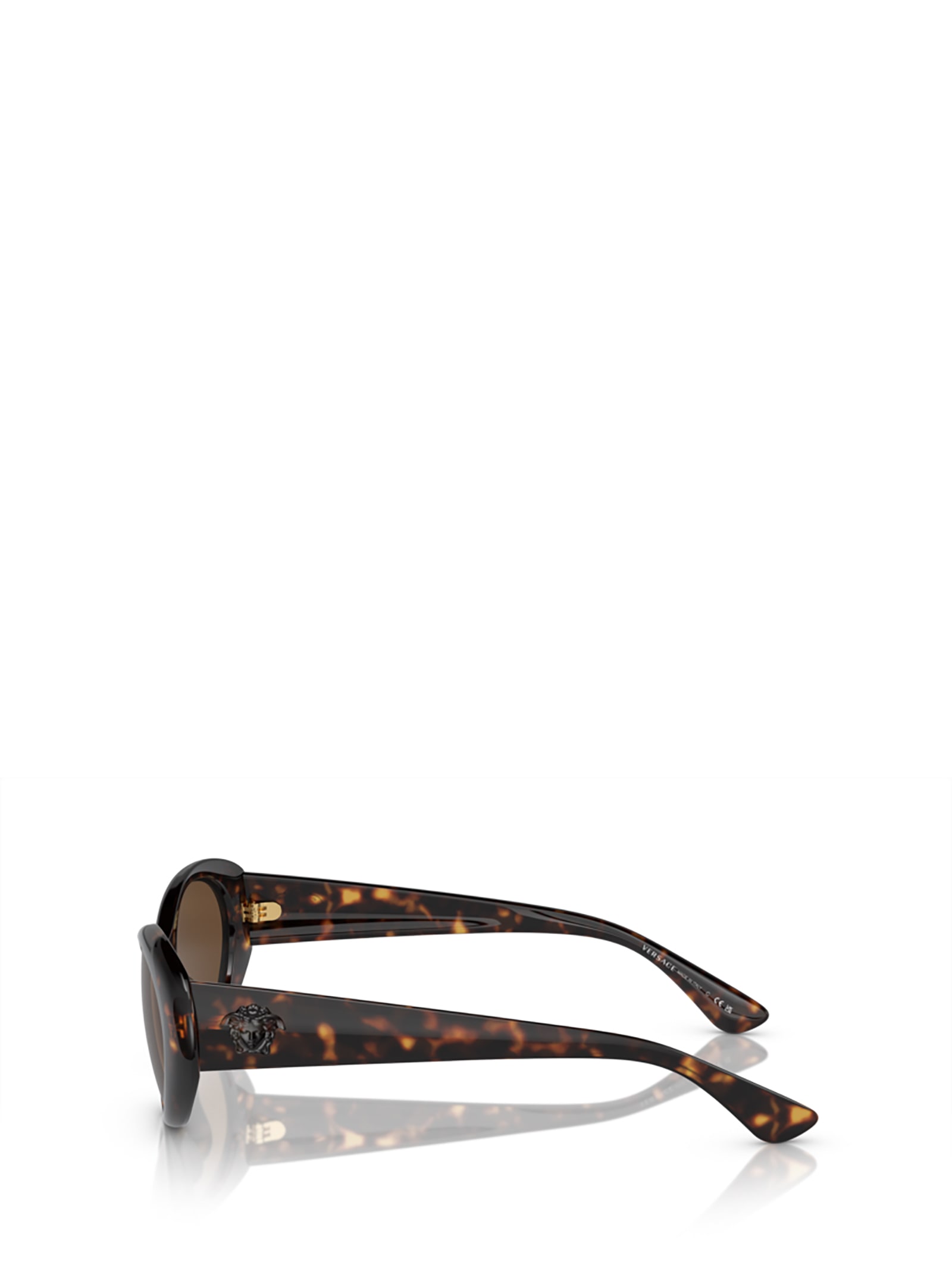 Shop Versace Ve4455u Havana Sunglasses