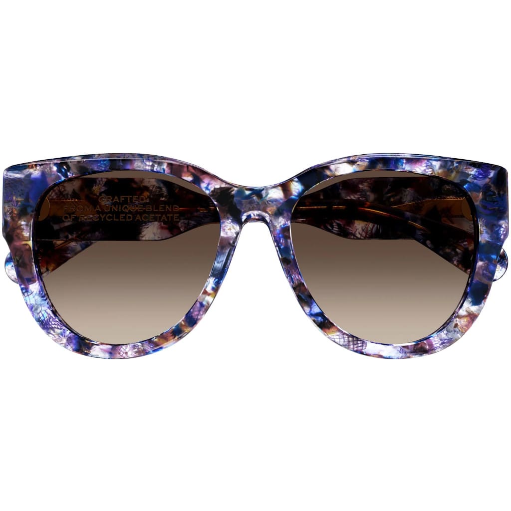Chloé Ch0192s Sunglasses In Havana Blu
