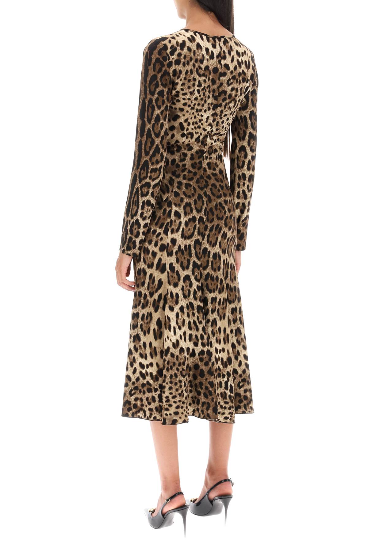 Shop Dolce & Gabbana Midi Dress In Leopard Cady In Marrone
