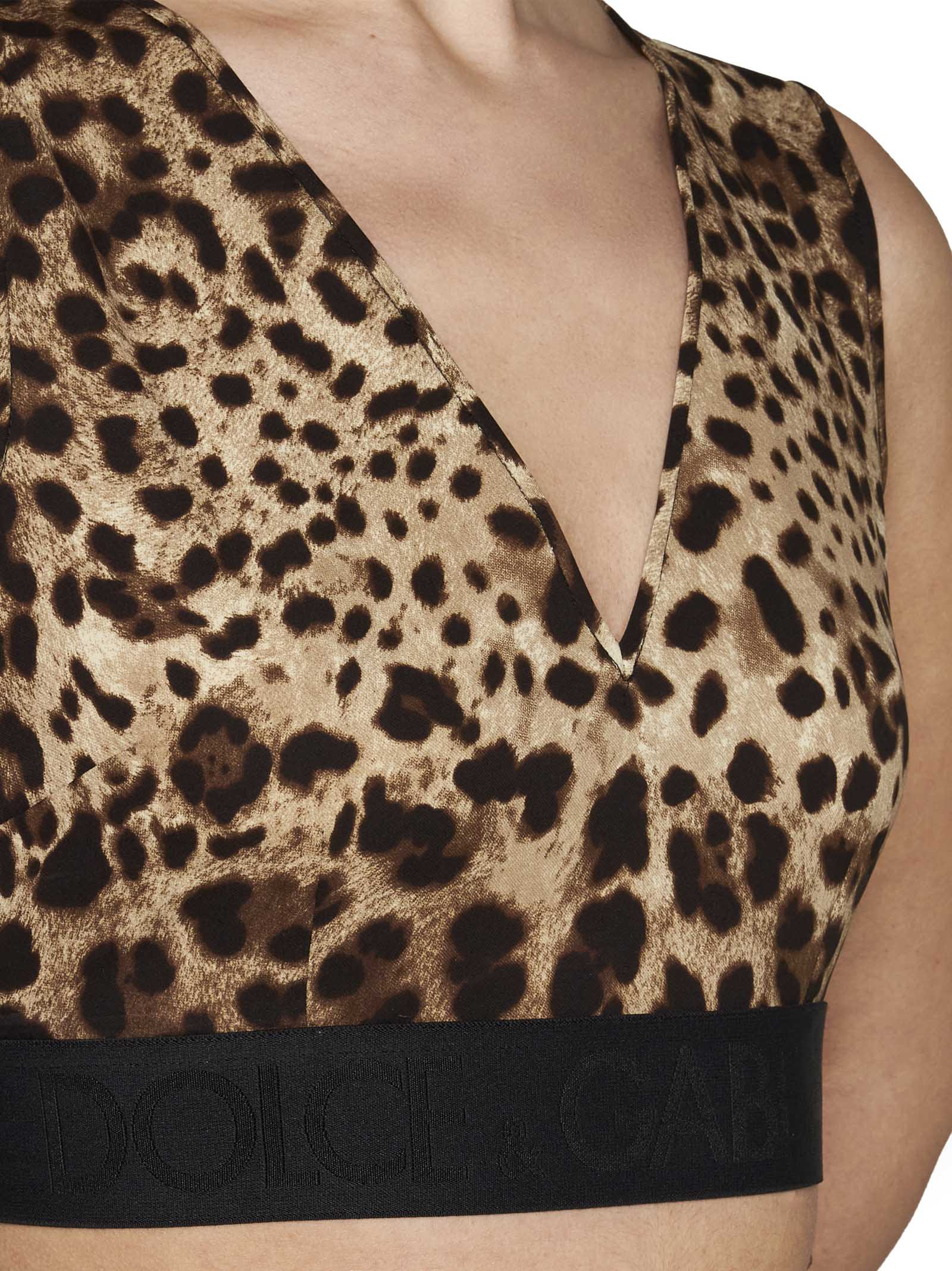 Dolce & Gabbana Brown Animal Print Cropped Top In Leo New