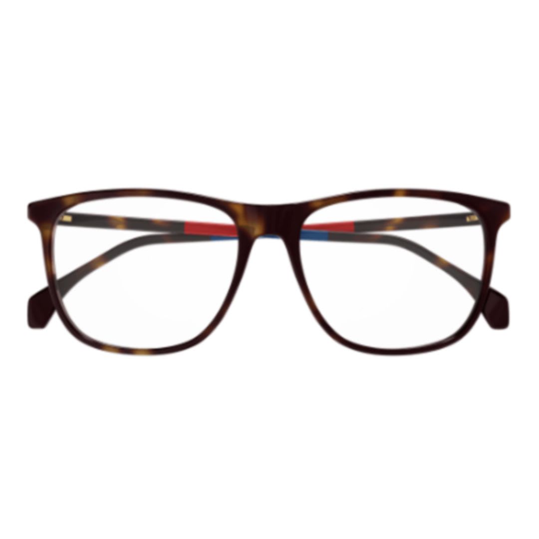 Gucci Gg0554o-010havana-havana-transparent In Brown