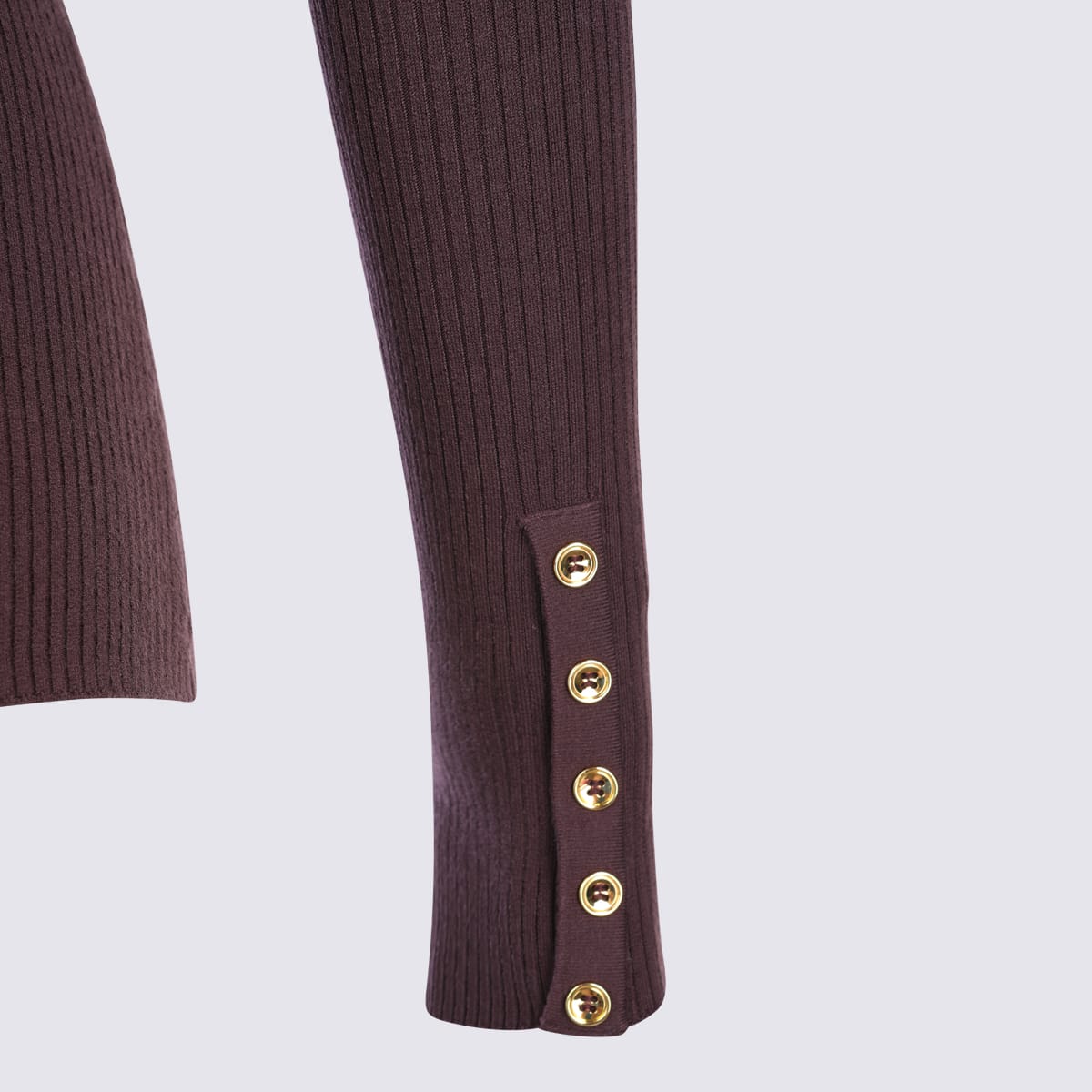 Elisabetta Franchi Dark Red Knitwear In Brown