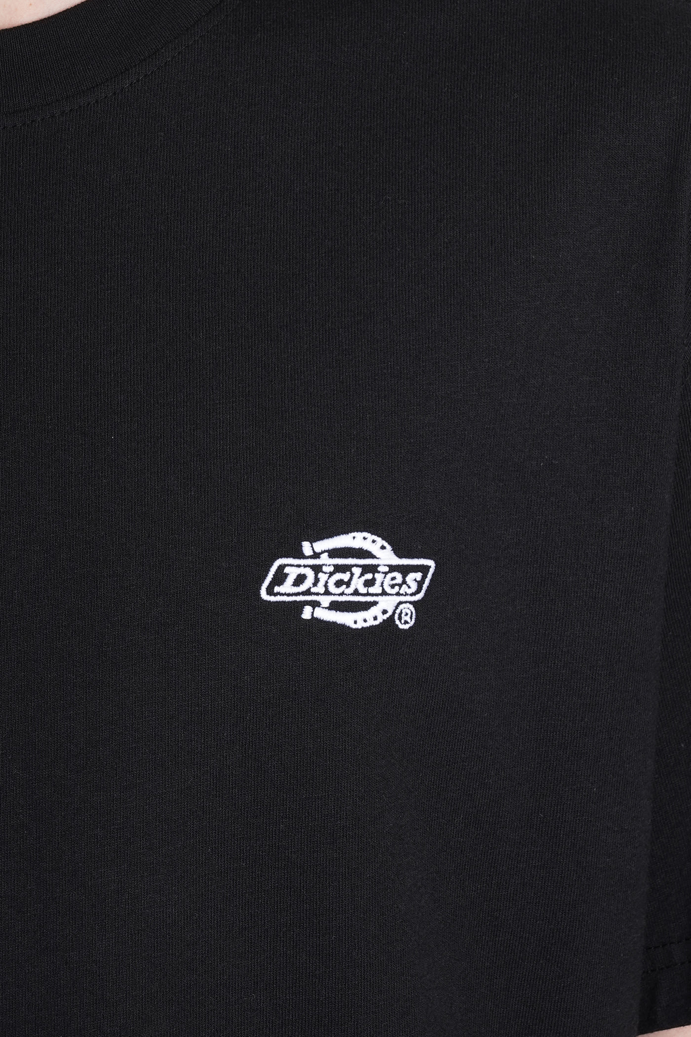 Shop Dickies T-shirt In Black Cotton