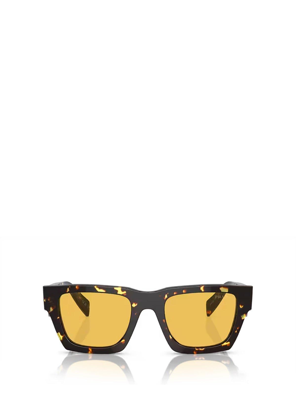 Shop Prada Square Frame Sunglasses Sunglasses In 16o10c Tortoise Black Malt