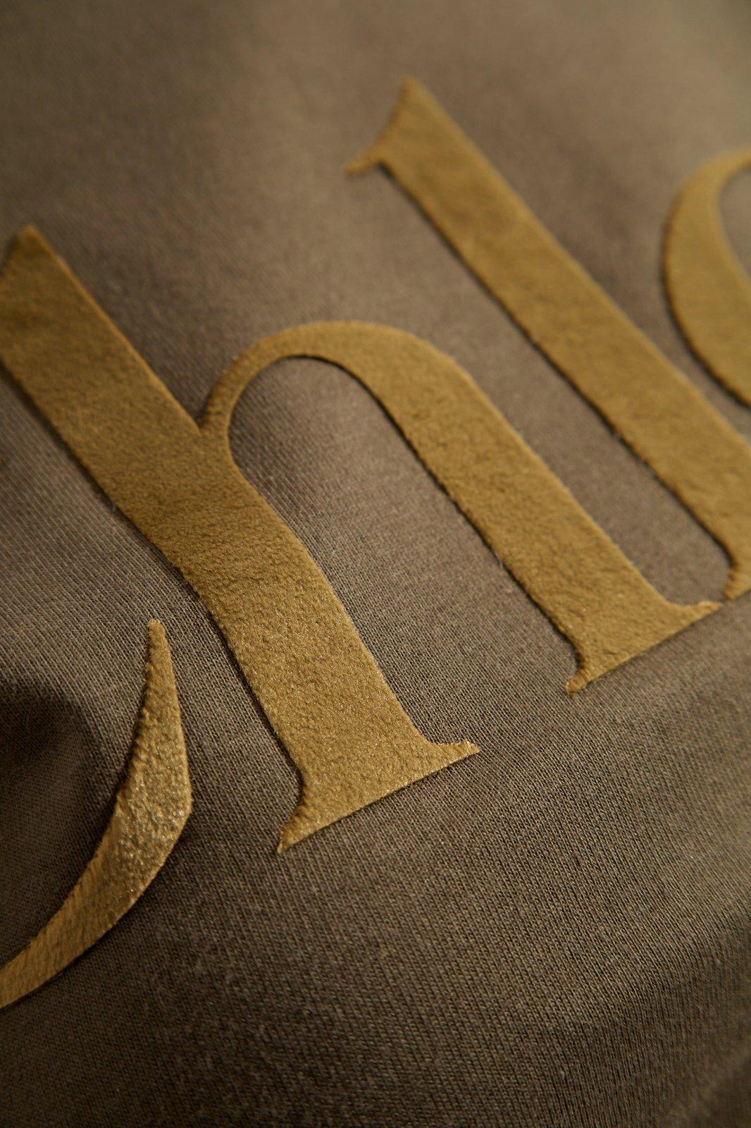 Chloé Logo Lettering T-shirt In Brown