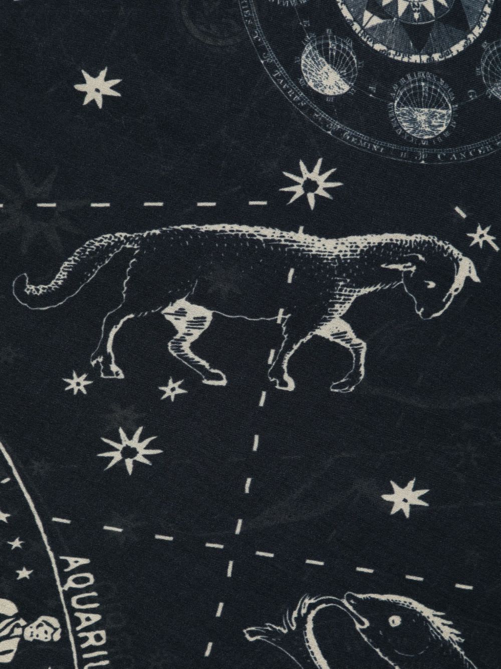 Faliero Sarti Astrology Print Stole In Brown