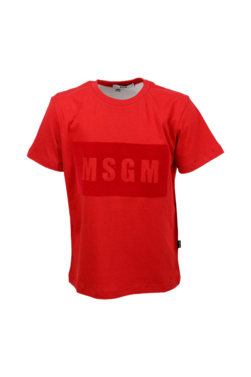 Shop Msgm Short-sleeved Crew Neck T-shirt In Cotton With Raised Lettering With Flocking In Red