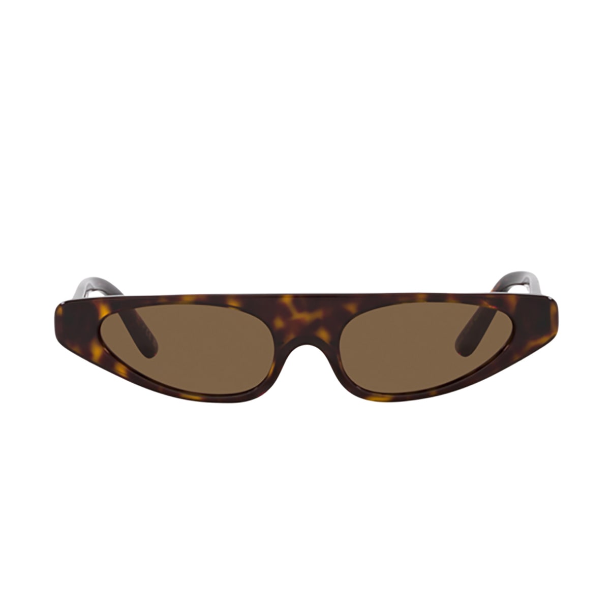 Dolce &amp; Gabbana Eyewear Dg4442 502/73 Sunglasses In Marrone