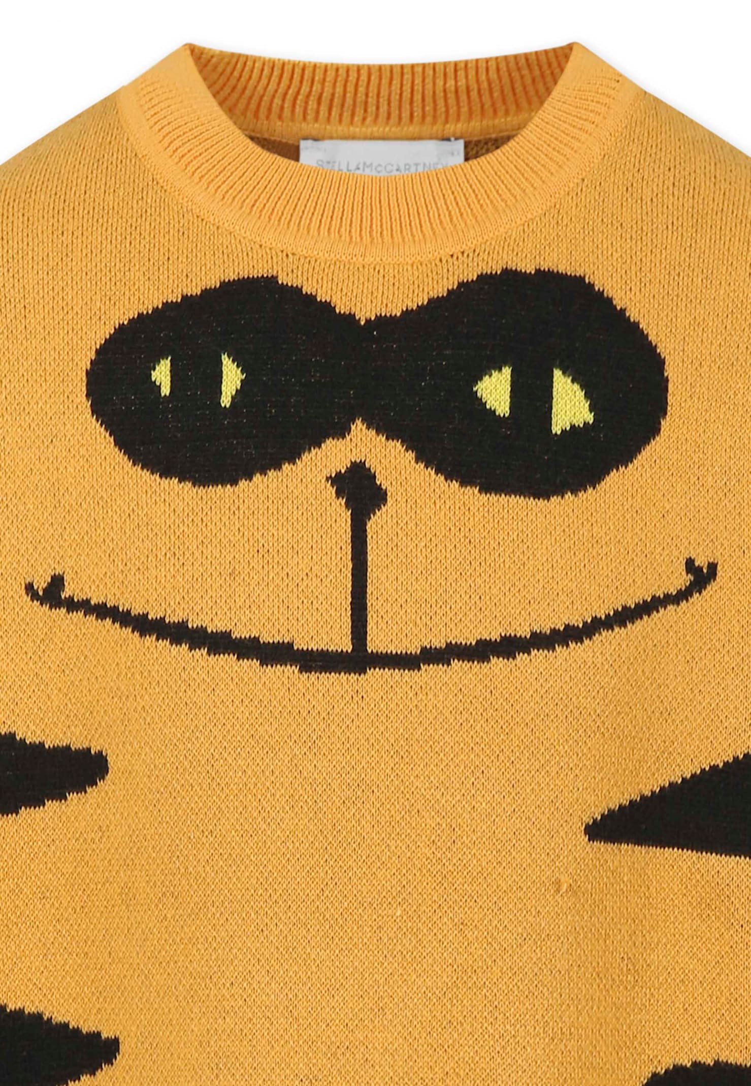 Stella Mccartney Orange Sweater For Boy With Cat In Orange