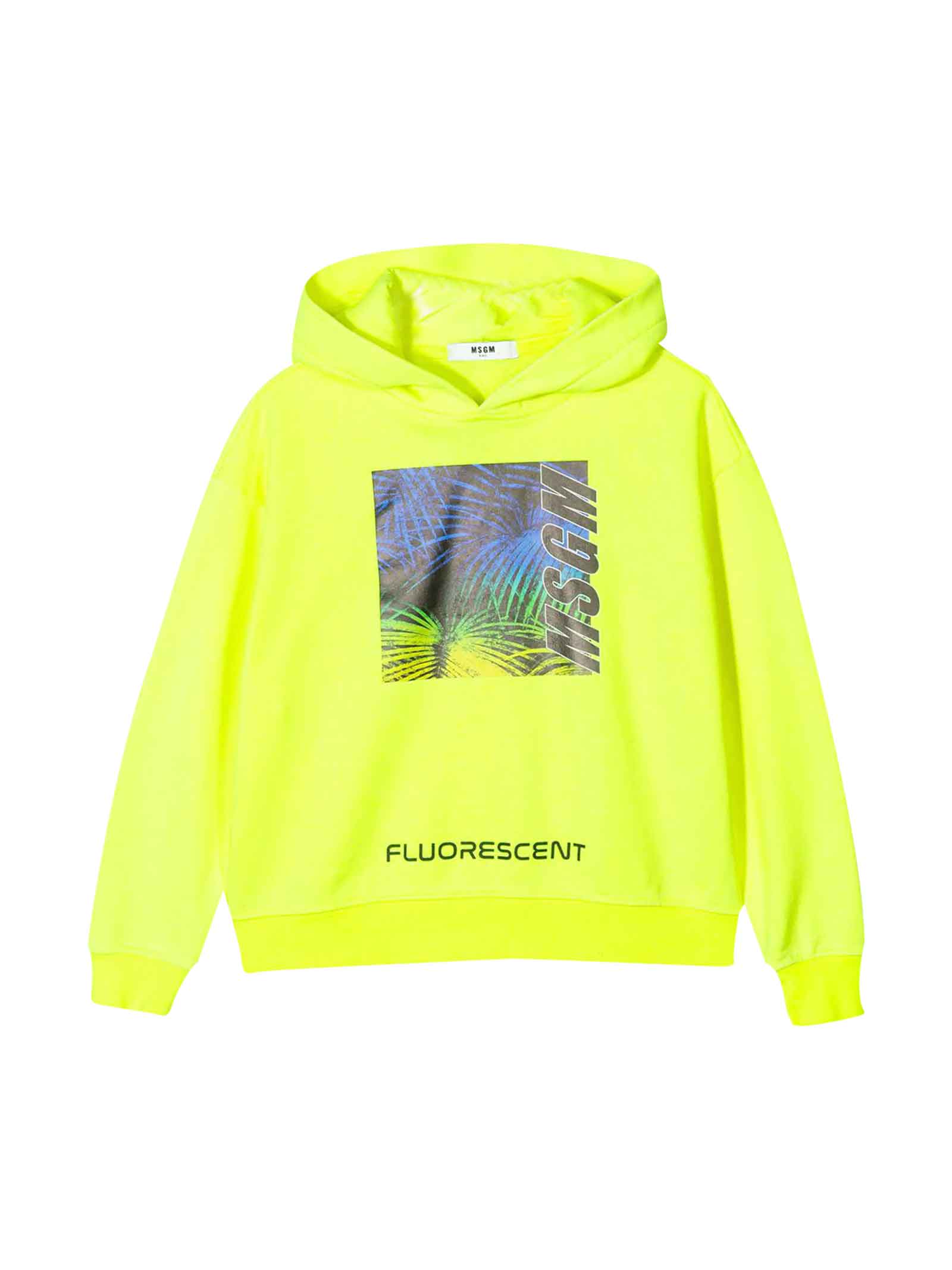Msgm Yellow Fluo Hoodie With Frontal Press In Giallo Fluo