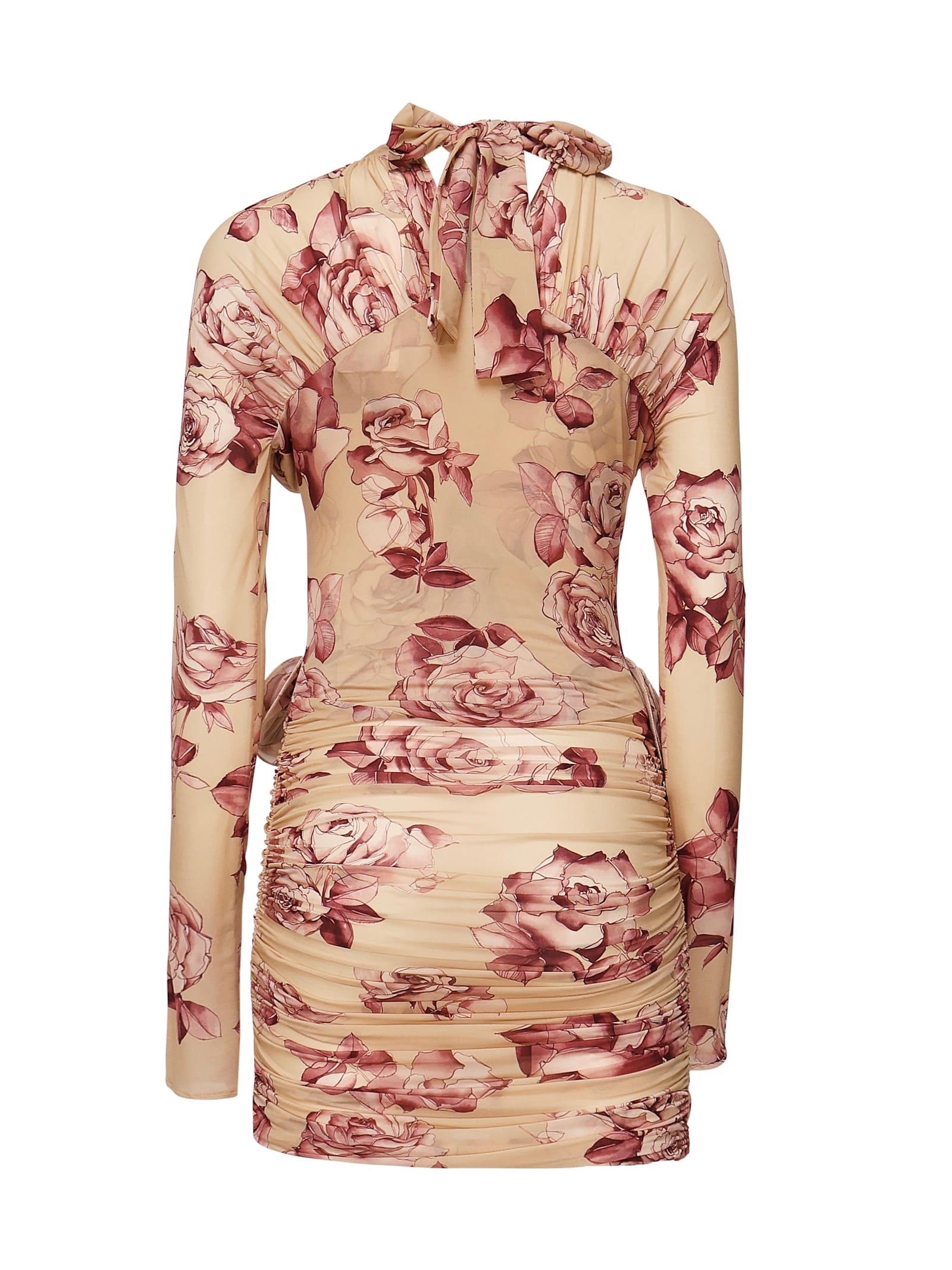 Magda Butrym Long-sleeved Transparent Midi Bustier Dress With Beige Print
