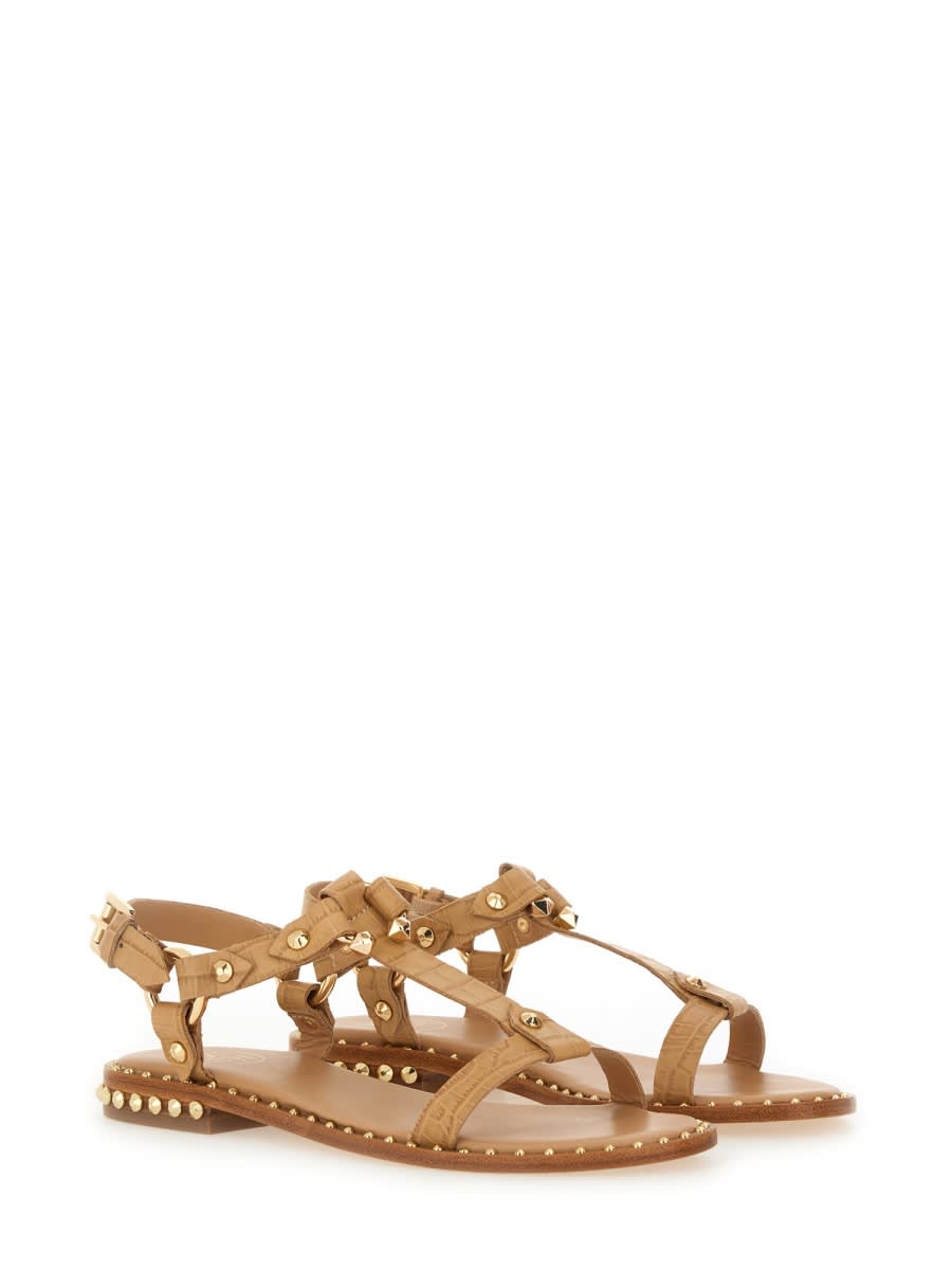 Ash Crocodile Print Sandal With Studs In Brown