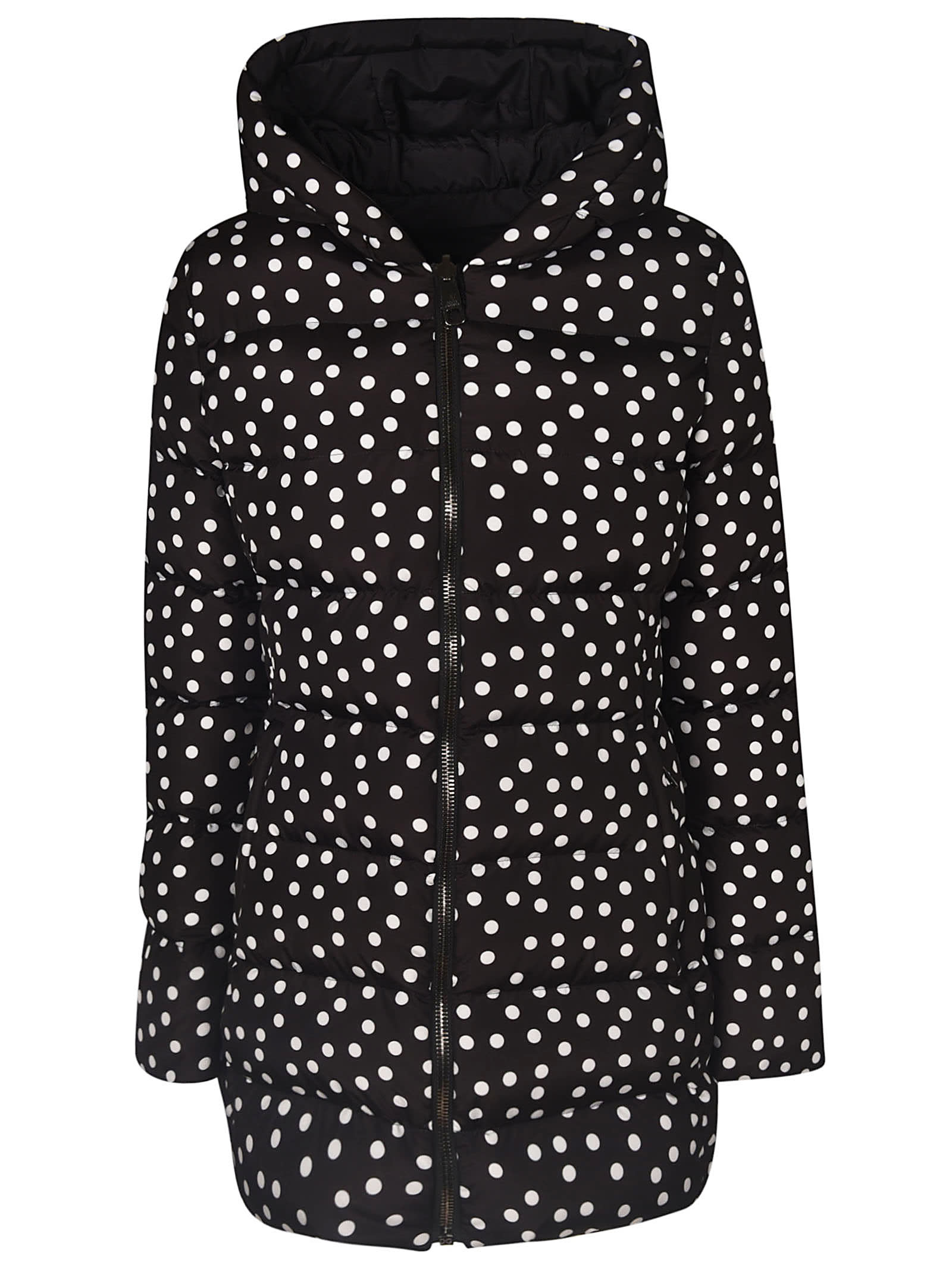 Dolce & Gabbana Dotted All-over Print Hooded Parka