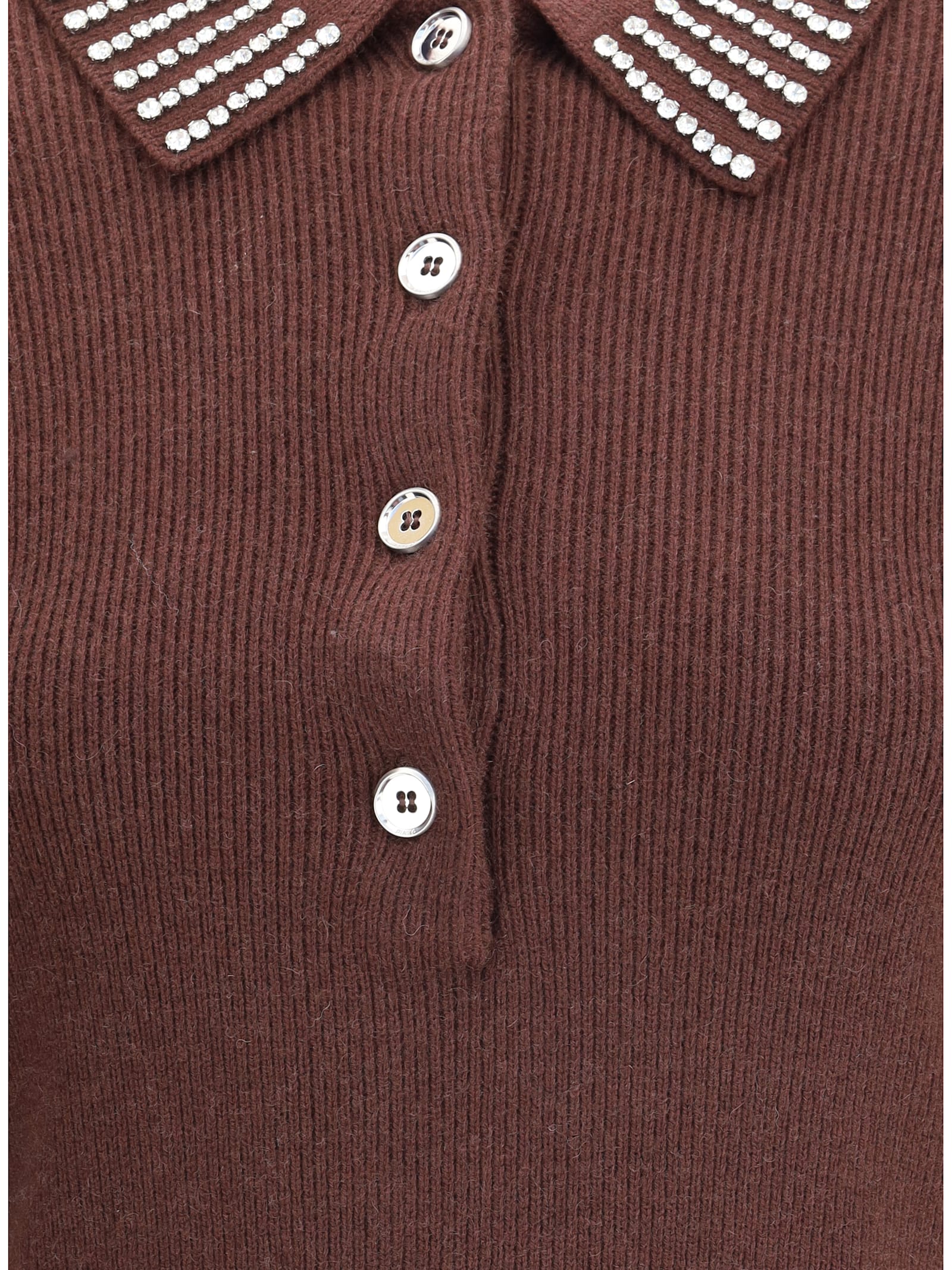 Pinko Emilia Sweater With Strass In Brown