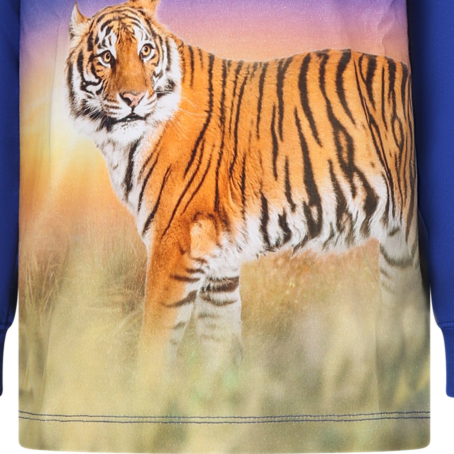 Shop Molo Blue T-shirt For Boy With Tiger