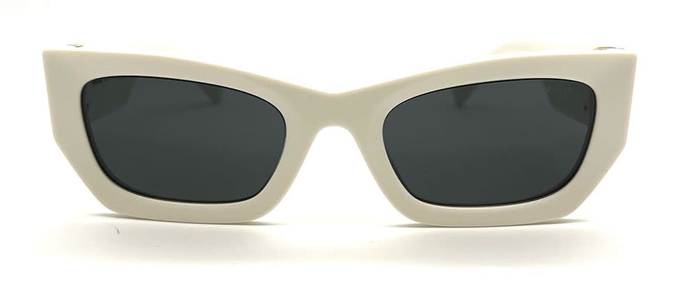 09ws Sole Sunglasses