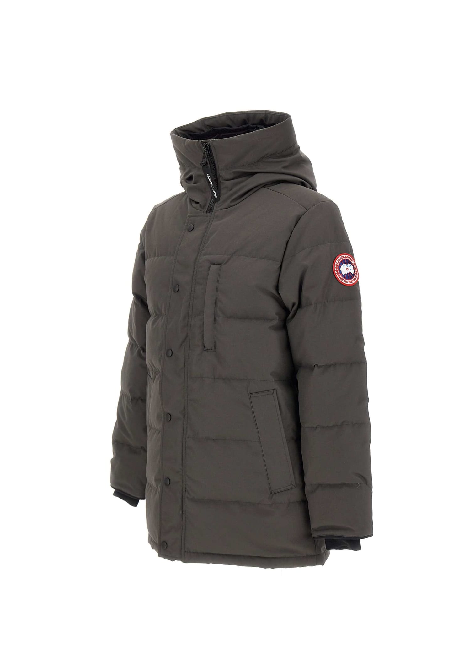Canada Goose Wyndham Parka In Grey