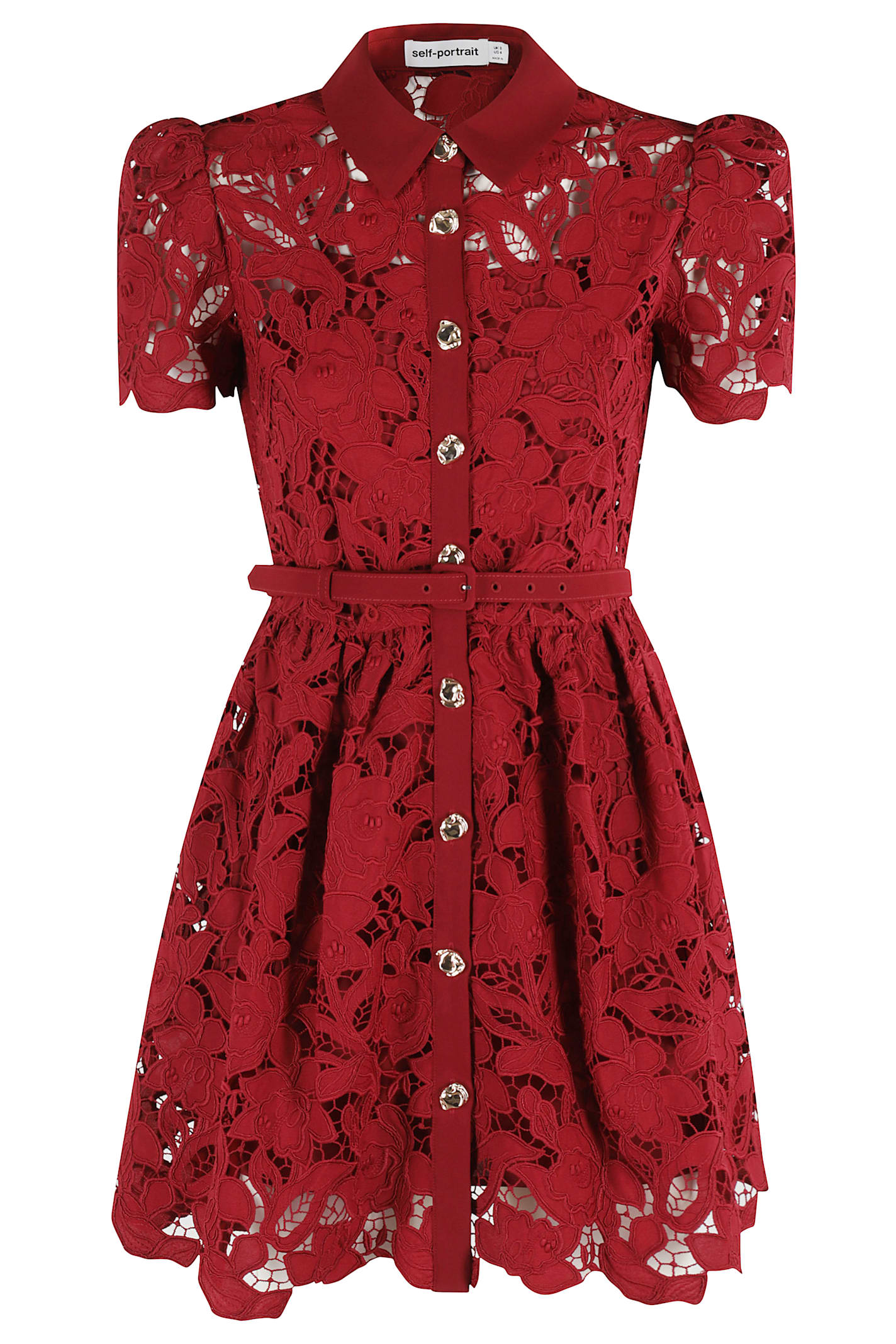 Lace Collared Mini Dress