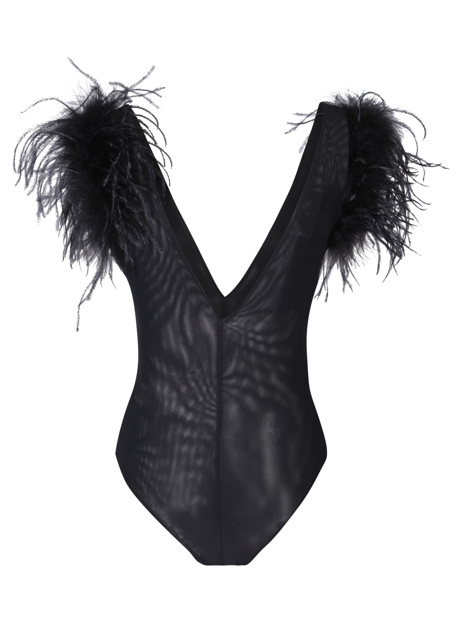 Shop Pinko Buttafuoco Feather-trimmed Bodysuit In Black