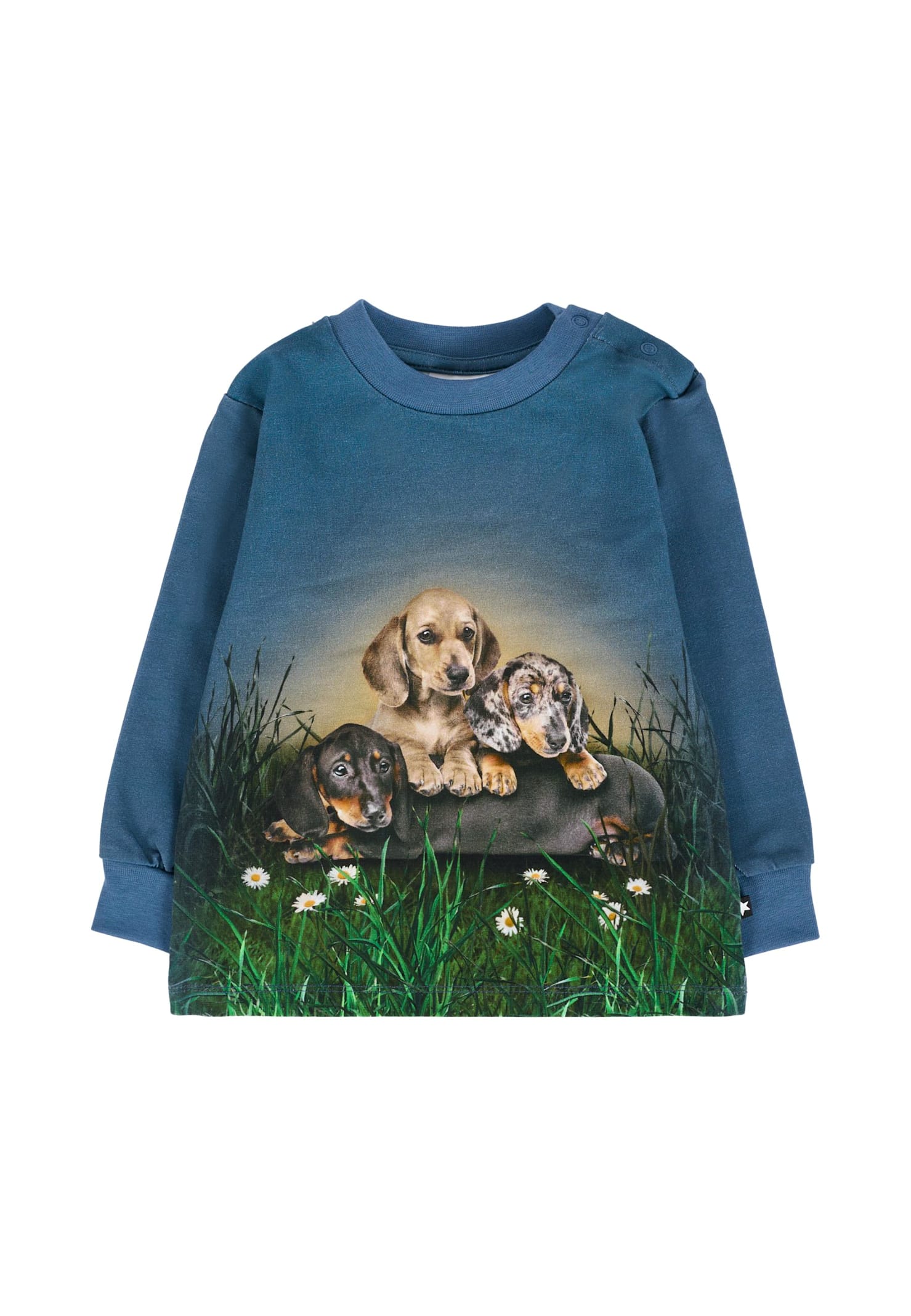 Molo Blue T-shirt For Baby Boy With Dog In Blue