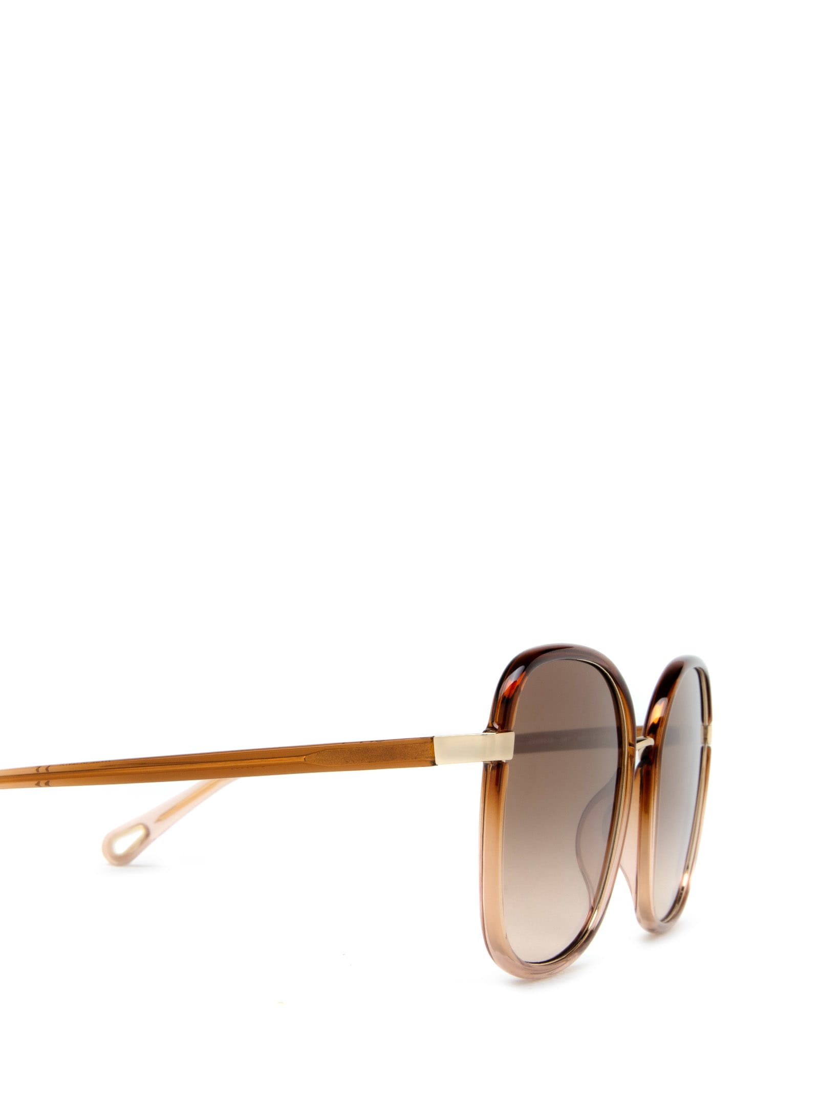 Shop Chloé Ch0031s Brown Sunglasses