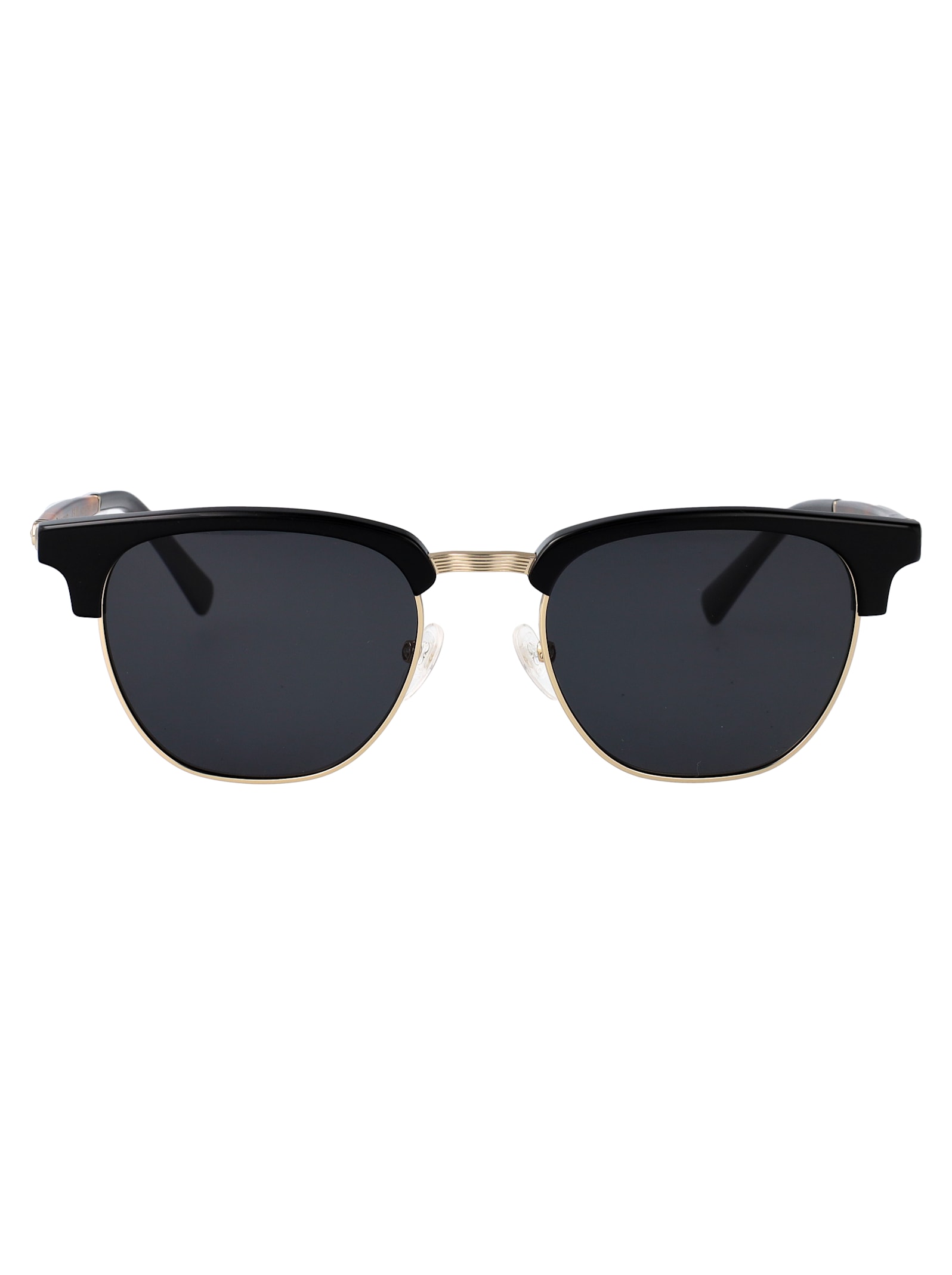 Ferragamo Sf307s Sunglasses In Multi