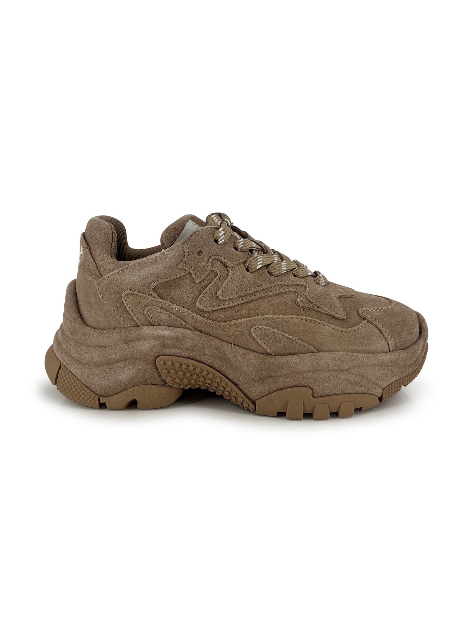 Ash Sneakers Addict Bis Noisette In Brown