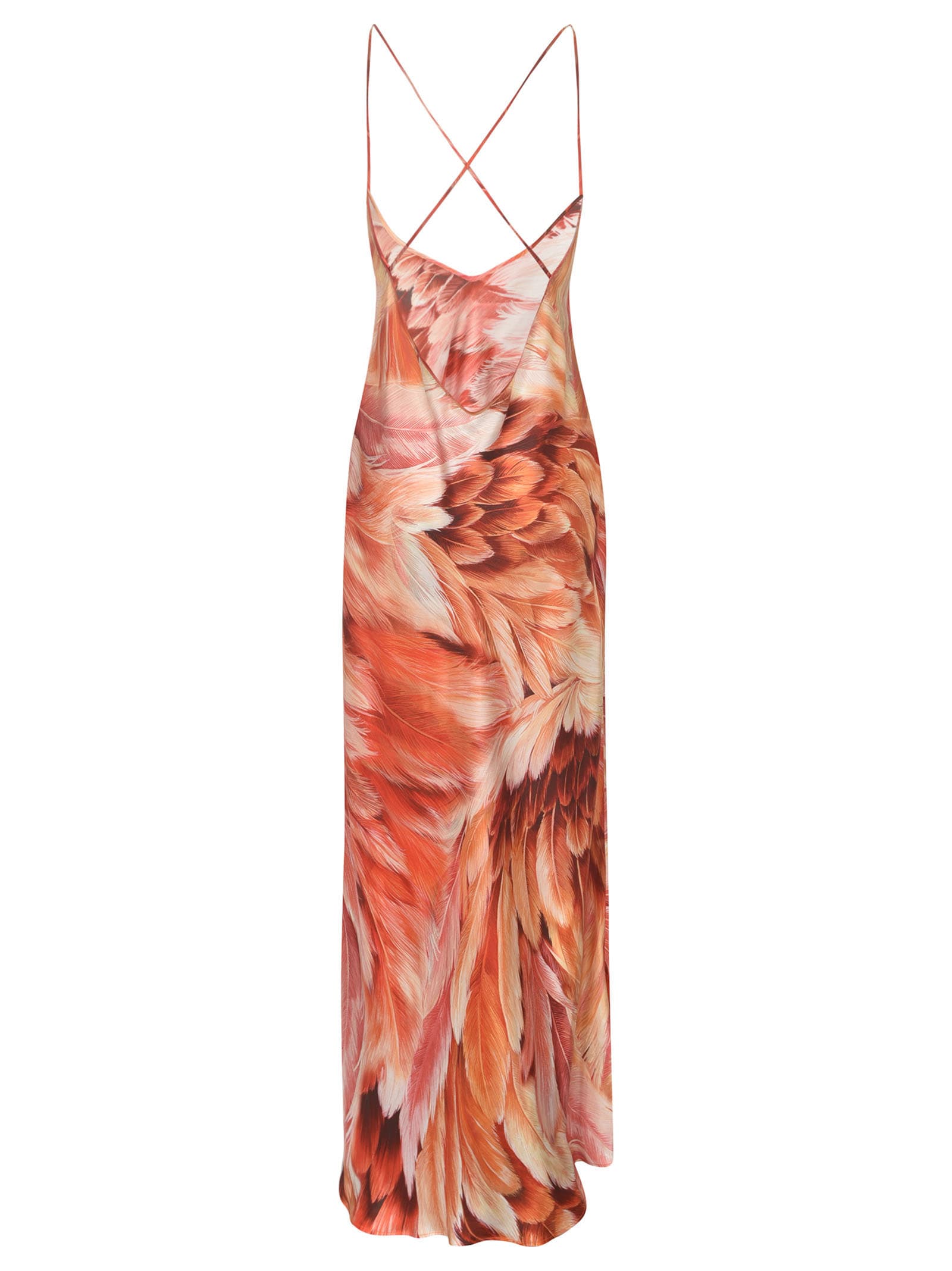 Shop Roberto Cavalli Feather Print Long Dress In Aragosta