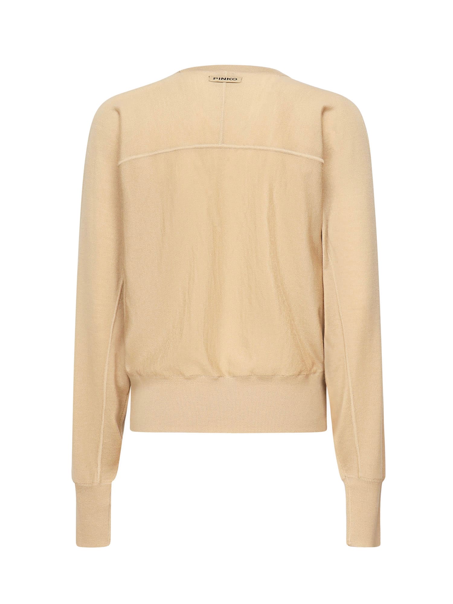 Pinko Lanzarote Sweater In Brown