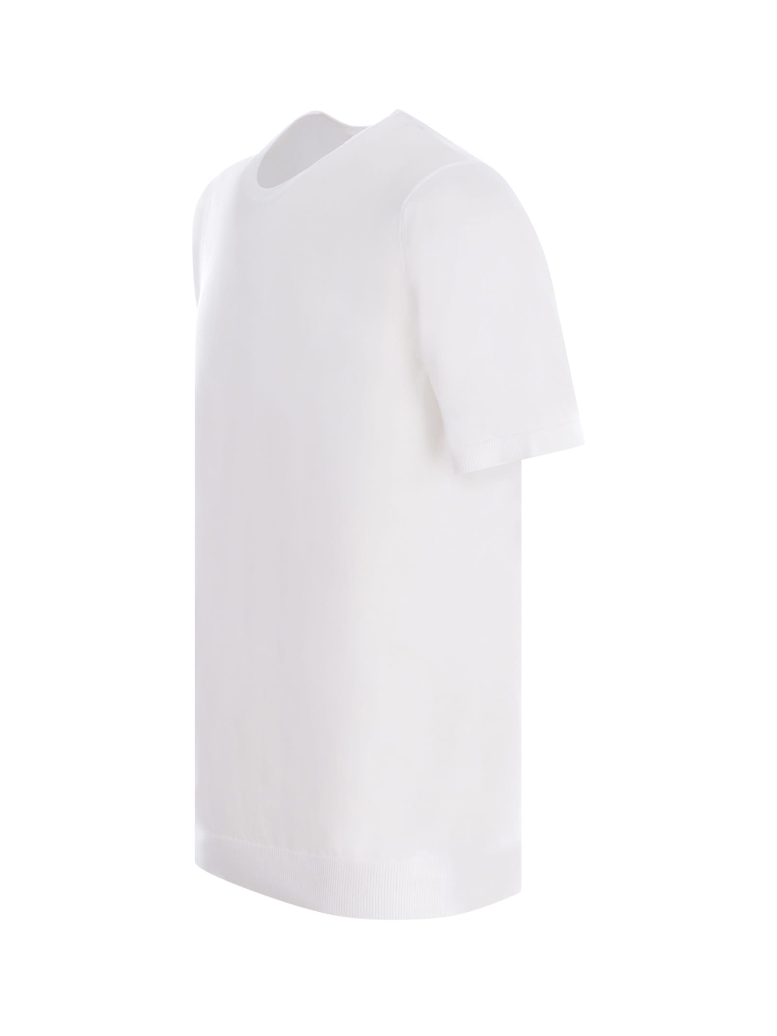 Shop Roberto Collina T-shirt  In Cotton In Bianco