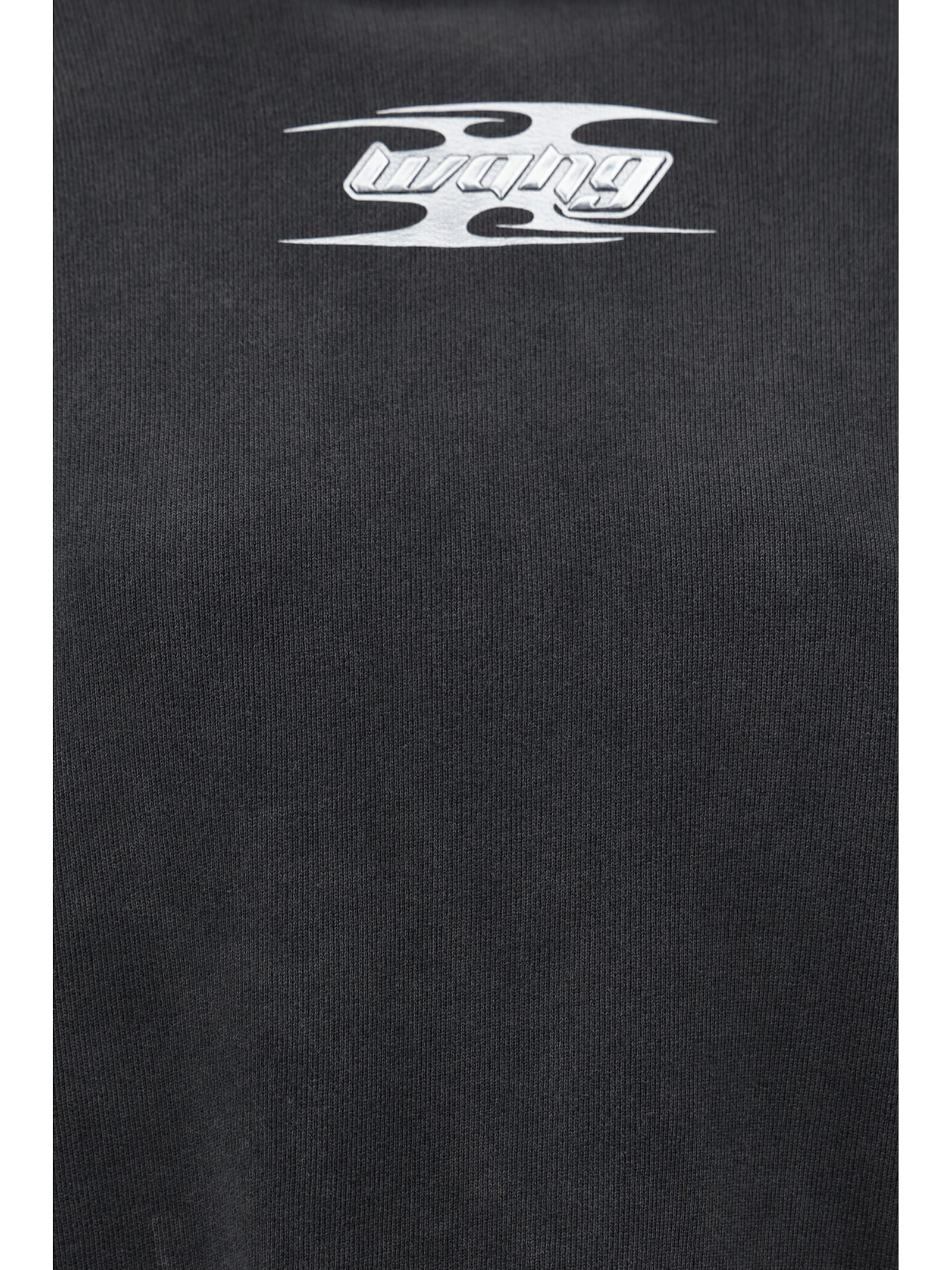 Alexander Wang Cotton Hoodie W/ Logo In Washed Cedar