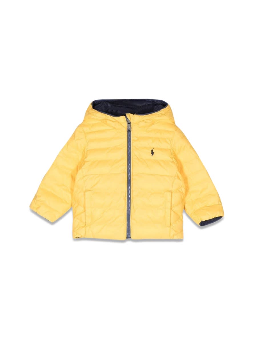 Shop Polo Ralph Lauren Down Jacket With Hood In Blue
