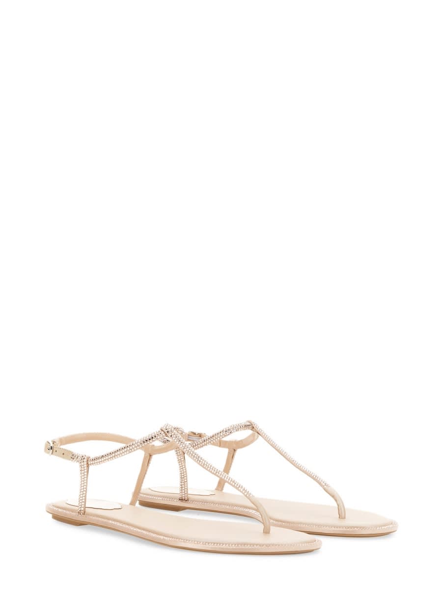 Shop René Caovilla Sandal Diana In Powder