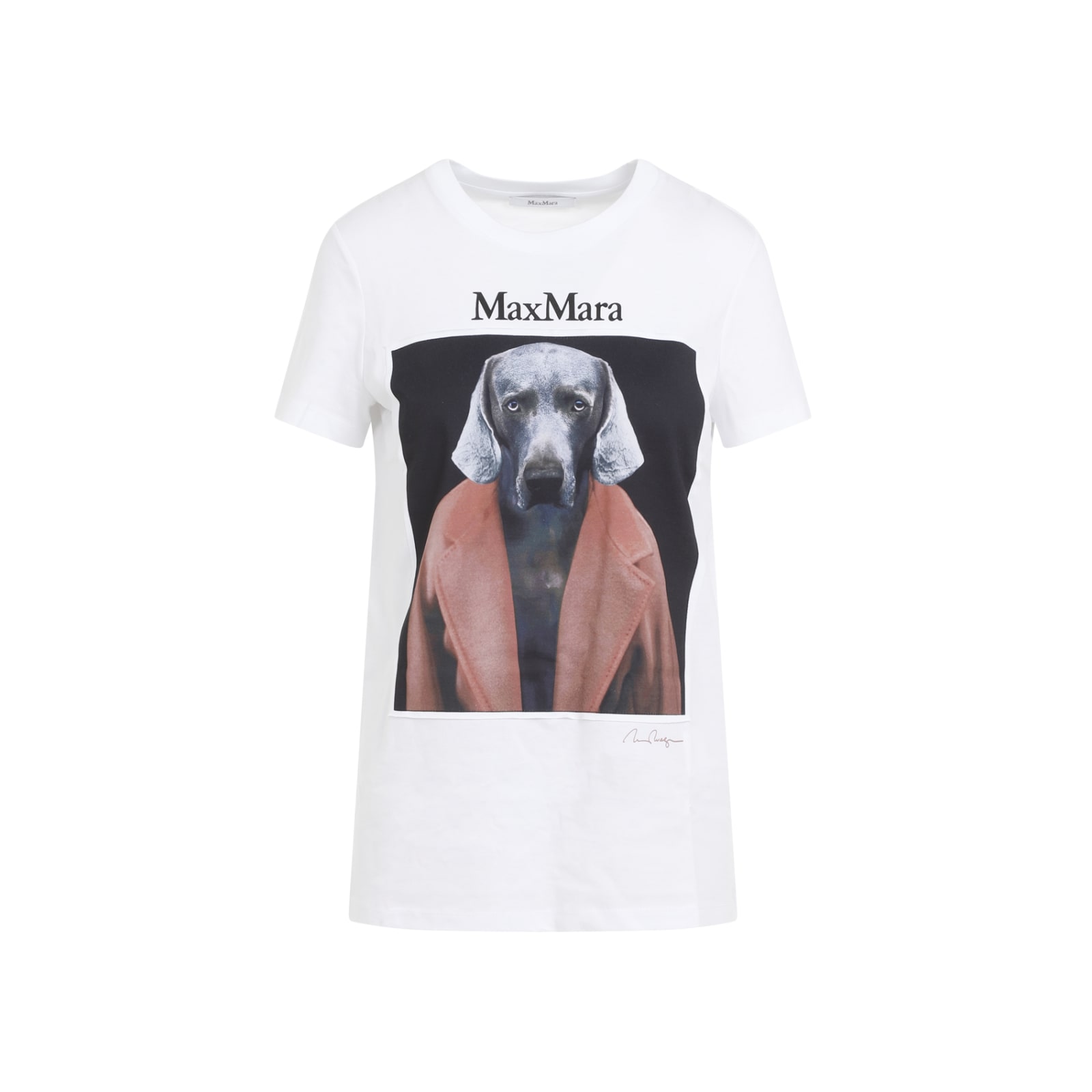 Shop Max Mara Cipria T-shirt Dog In Fragola