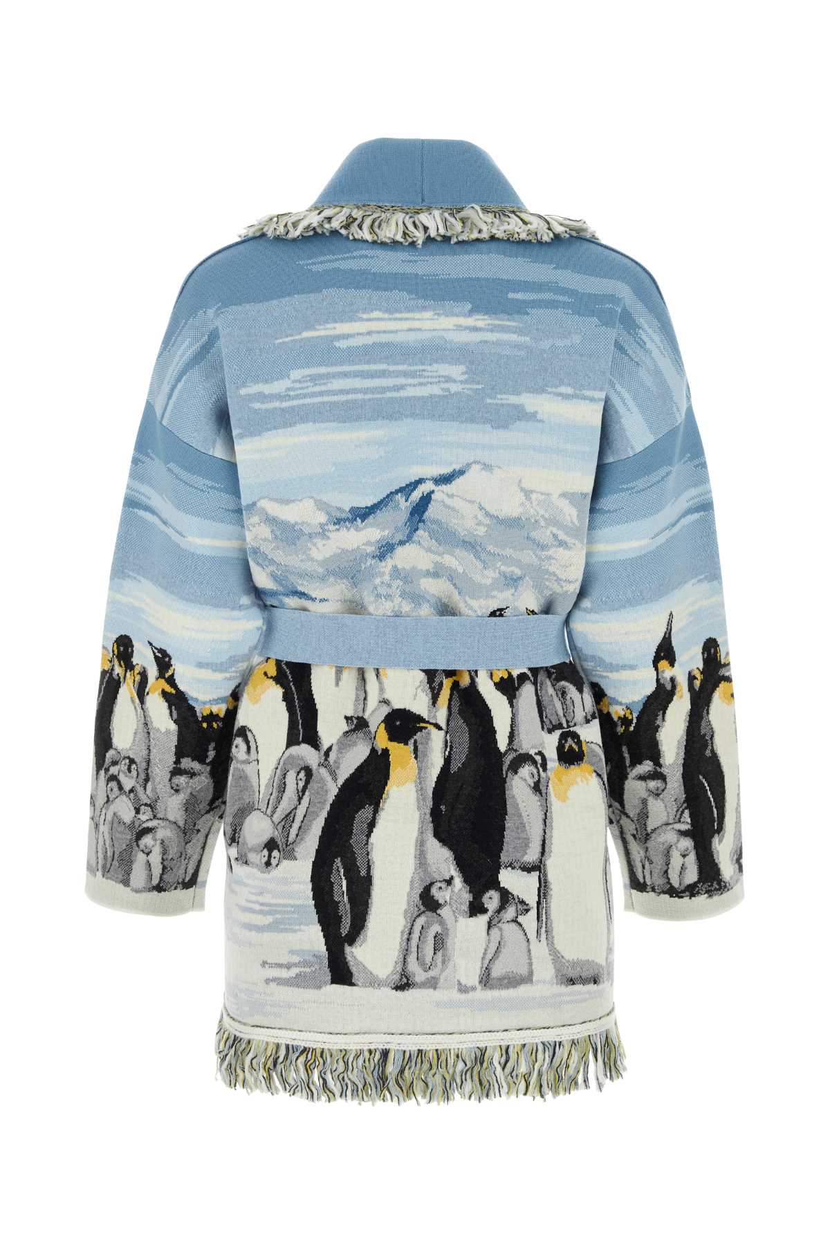 Alanui Embroidered Wool Blend Postcard From Antarctic Cardigan In 4084