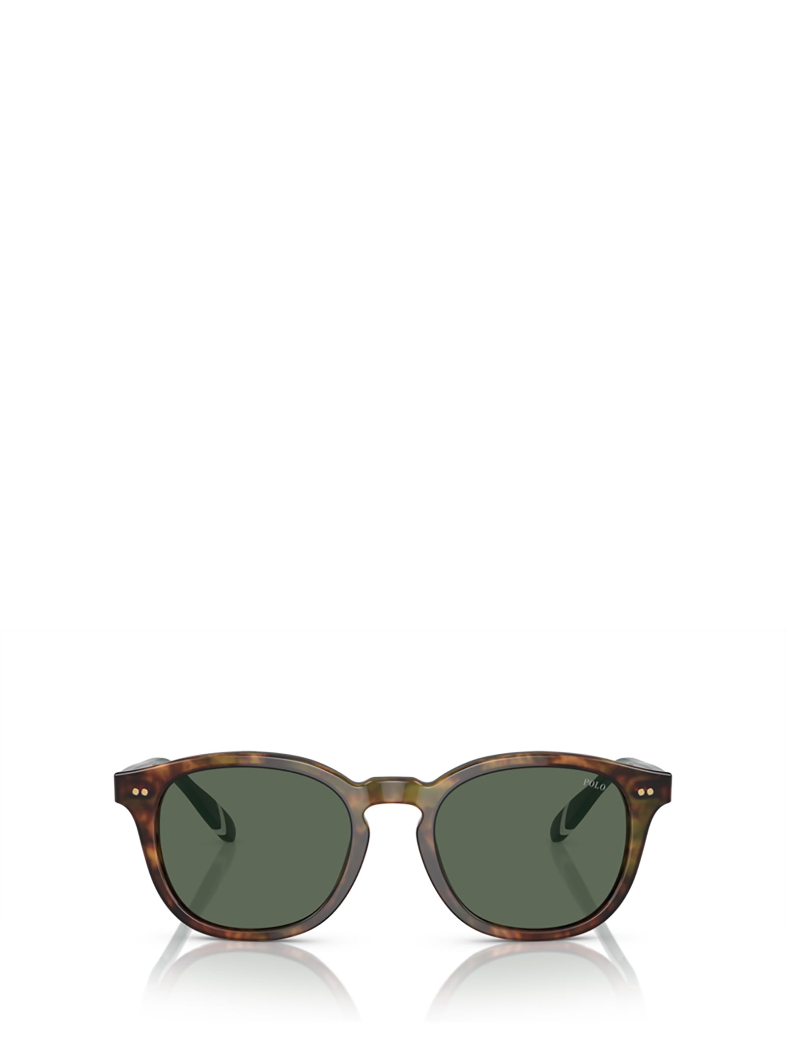 Polo Ralph Lauren Ph4206 Shiny Brown Tortoise Sunglasses