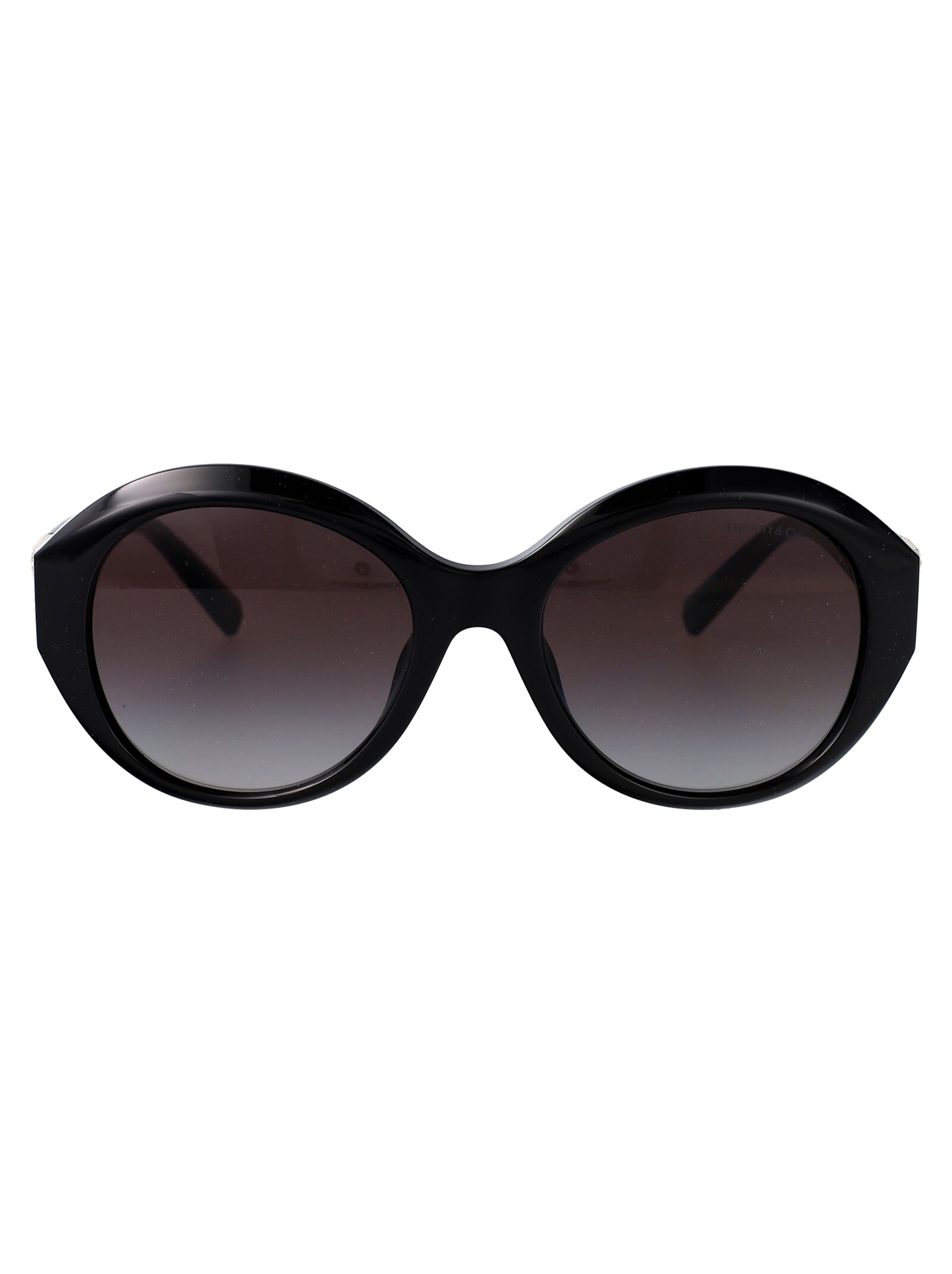 0tf4227bu Sunglasses