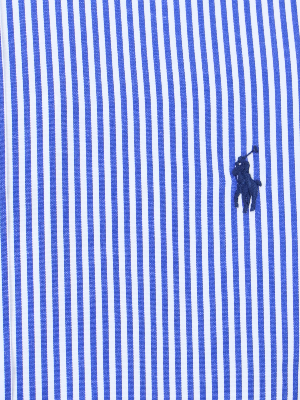Ralph Lauren Logo Striped Shirt In Blue