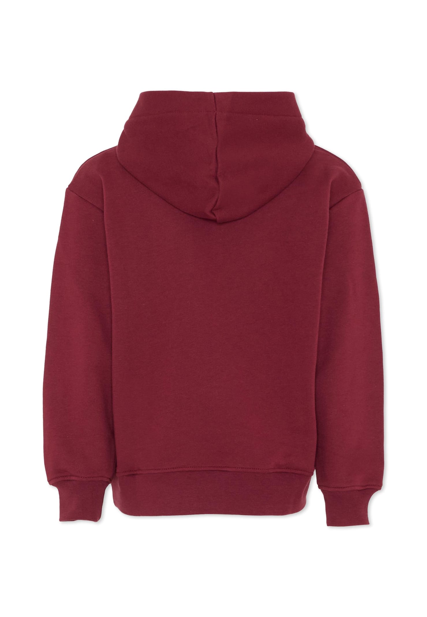 Msgm Burgundy Sweatshirt For Kids With Logo In Burgundy